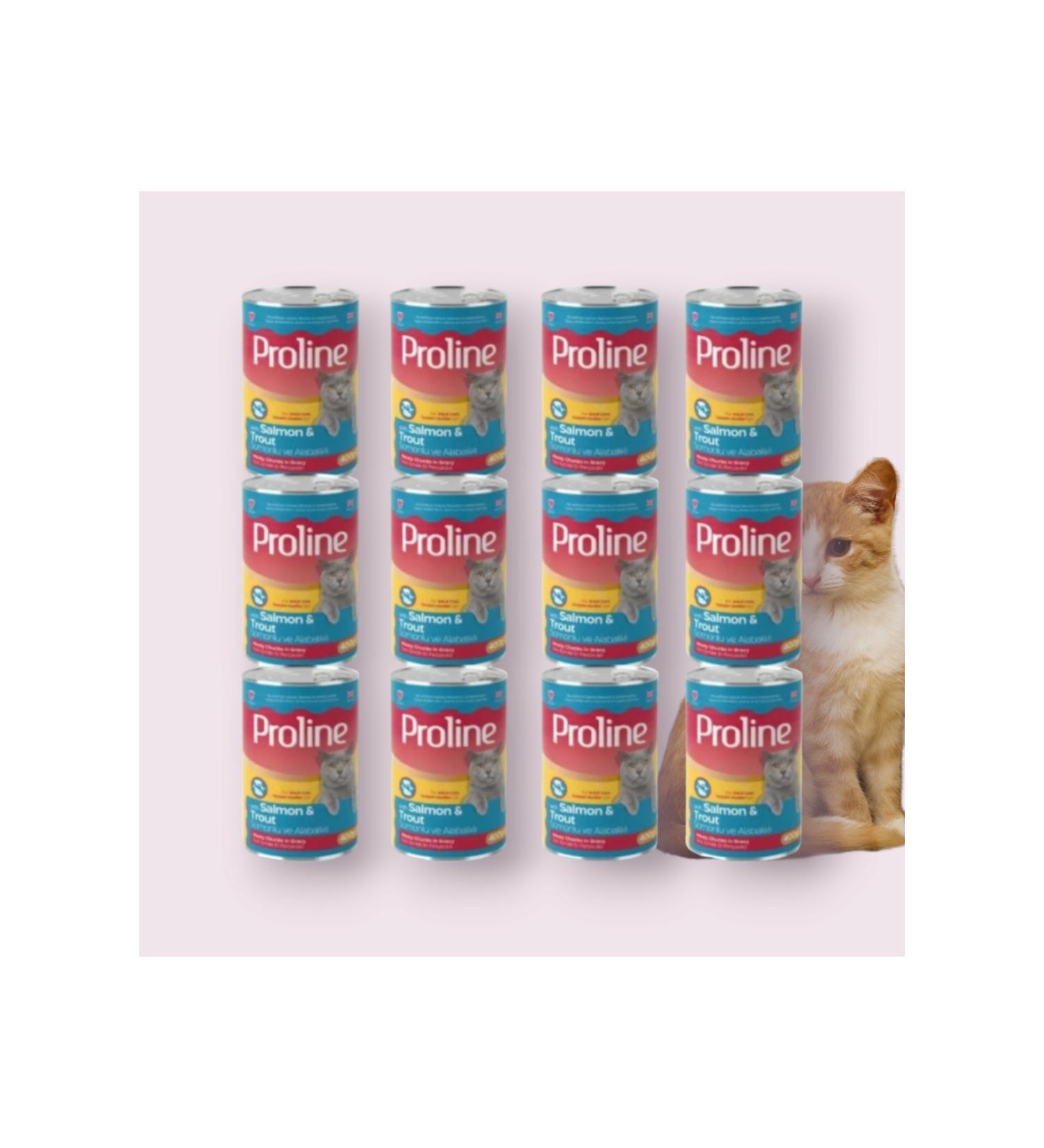 anl Av Pro Line Adult Cat Canned Food with Salmon and Trout 400 Gr 12 Pieces