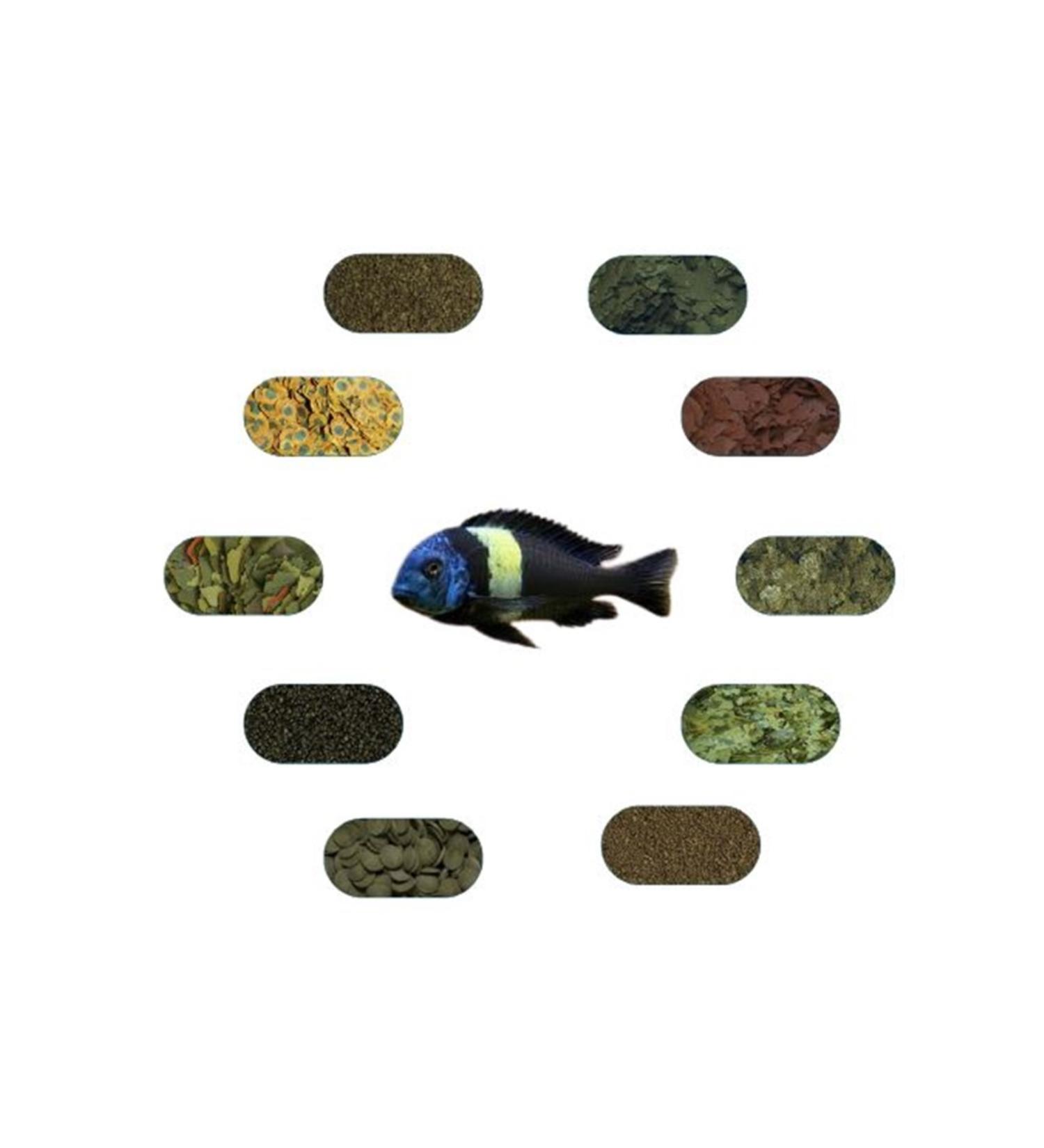 FSFPETMARKET TROPHEUS DUBO S MASVA FOOD PACKAGE (100 GR - 9 TYPES)