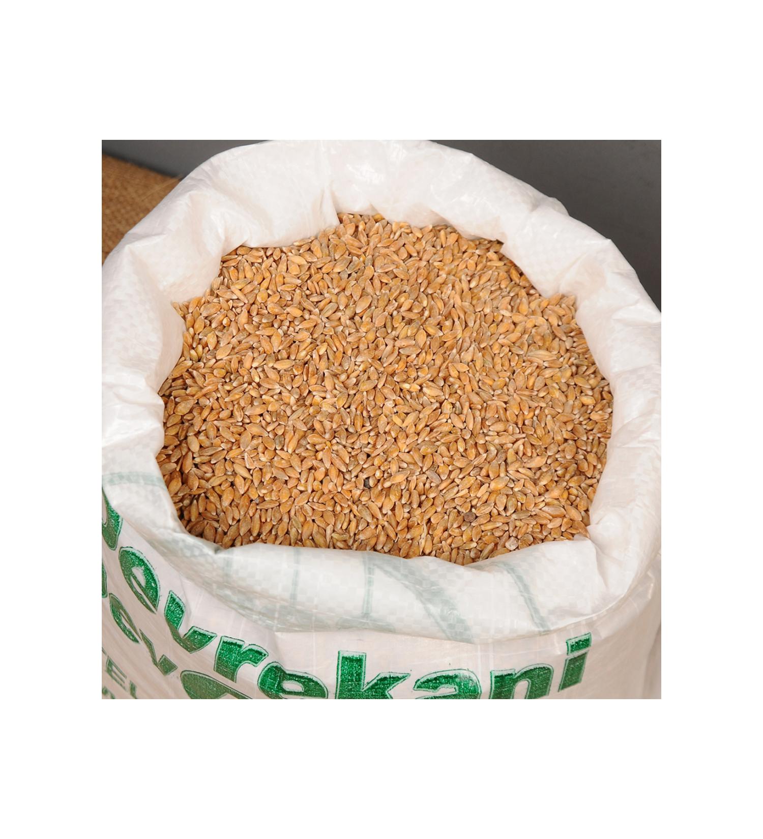 Kastamonu Einkorn Wheat (Grained) 5 Kg - Buy Online on GoSupps.com