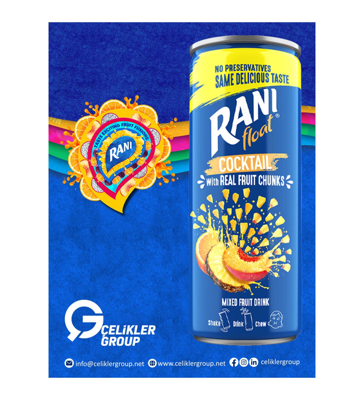 Rani Cocktail Fruit Juice with Chips