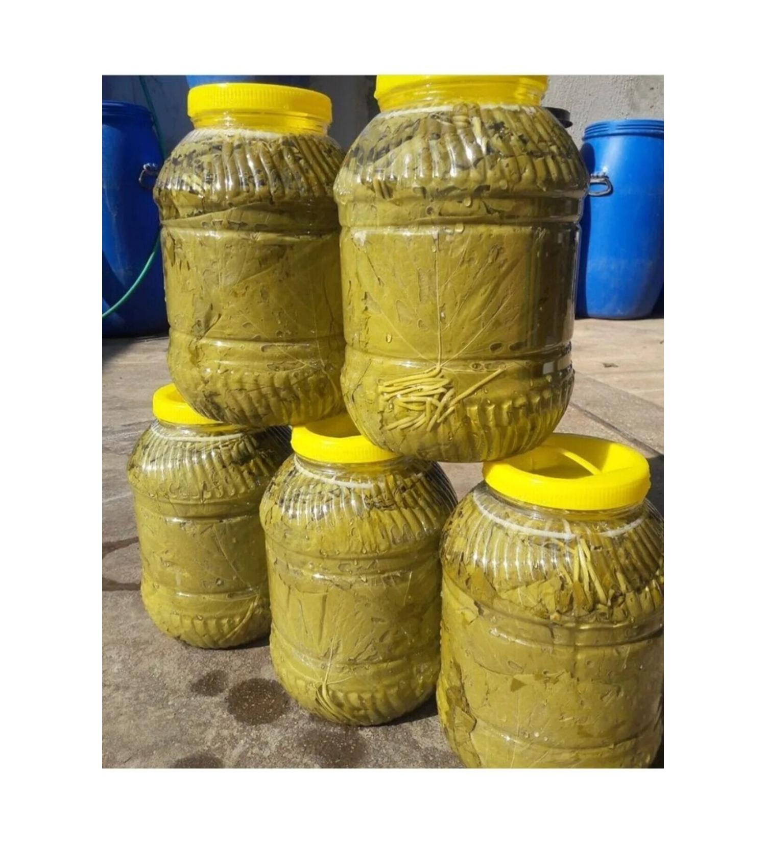 Agricultural and Animal Products VINE LEAF IN BRINE 5 KG - Buy Online on GoSupps.com