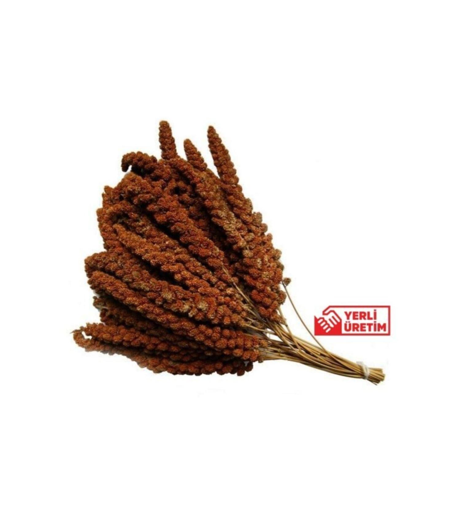 grpet Imported Red Millet 500 Gr(large size)