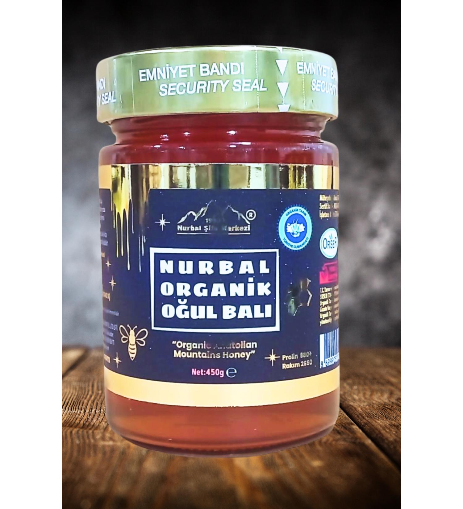 Nurbal Healing Center Organic Son Honey 450 Gr