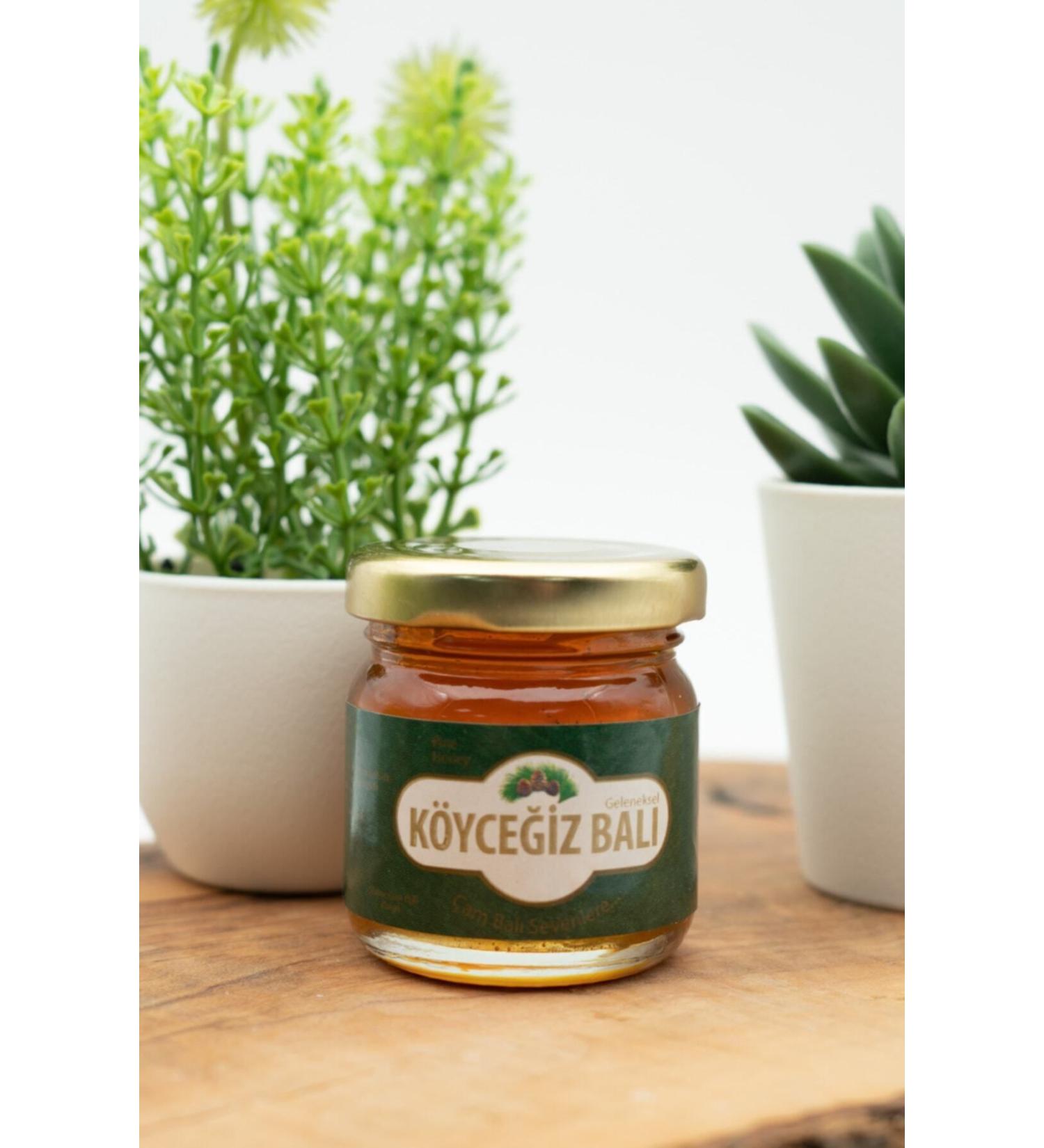 kb koycegiz honey Pine Honey 45 G Glass Jar - Buy Online on GoSupps.com
