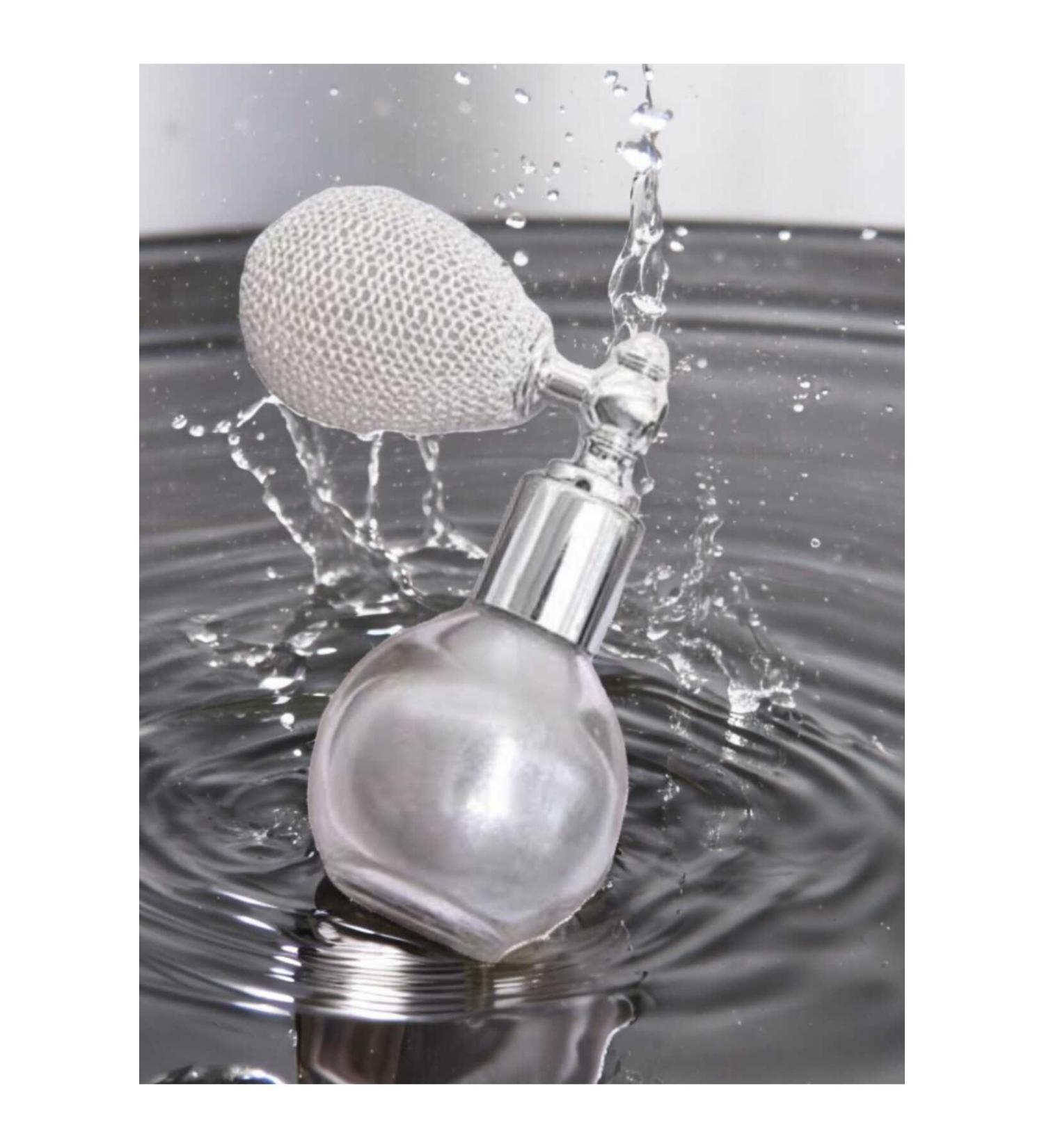 MT PUMP BODY LINK - SILVER - Buy Online on GoSupps.com