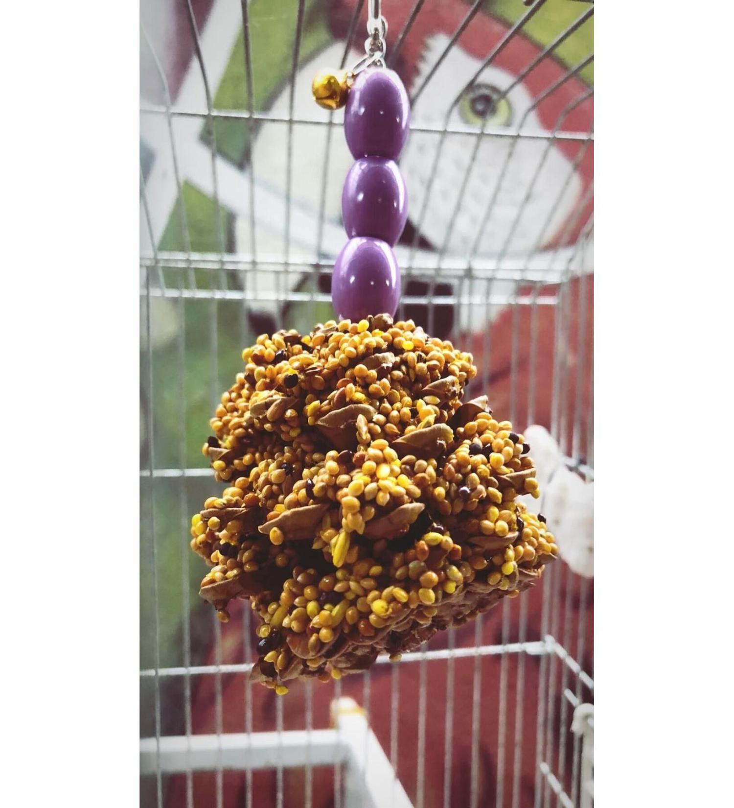 mn mammamia mix Forest Fruit 12 Honey Crackers Special Series