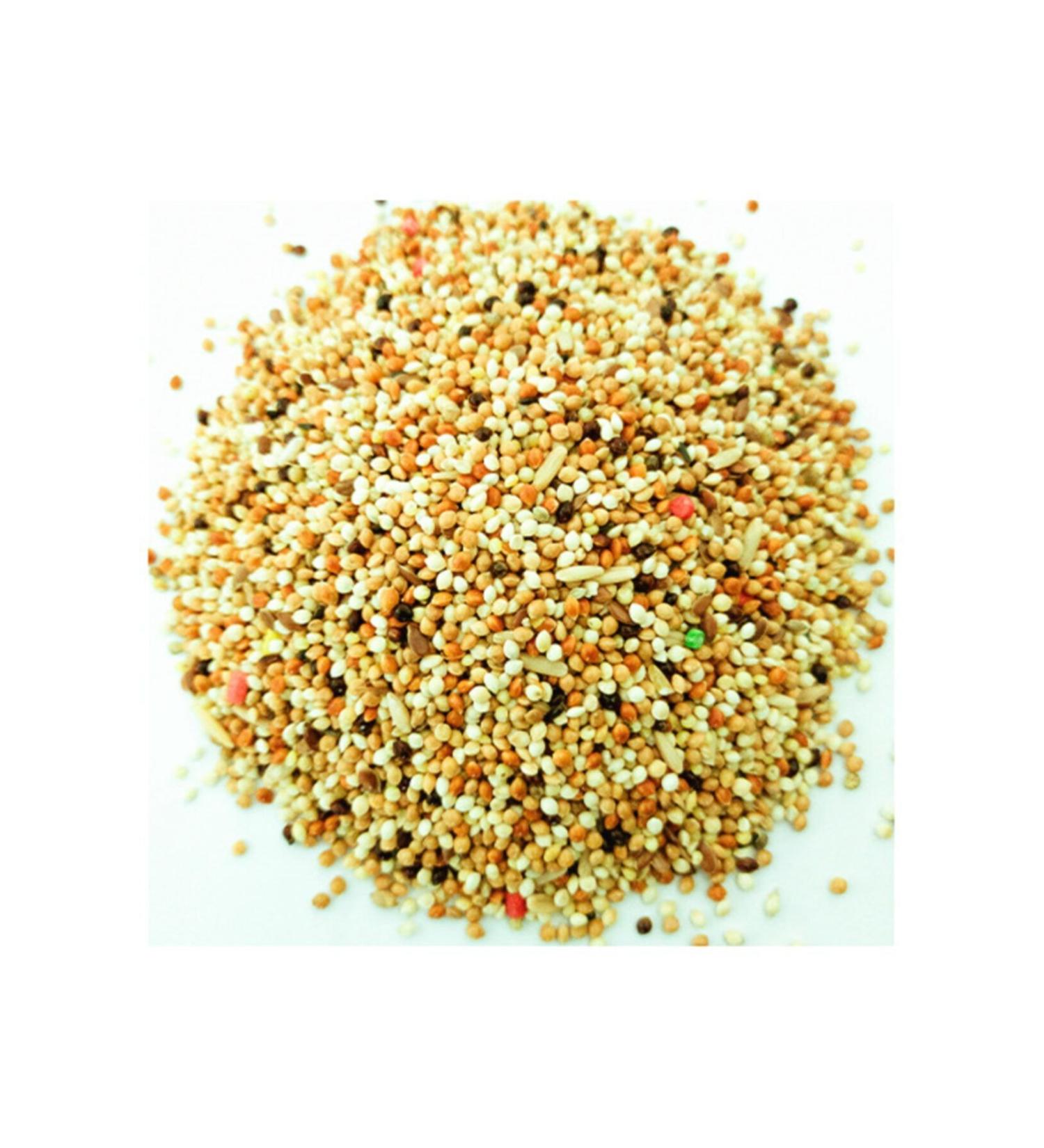 ginger transfer Budgie Bird Food 1kg