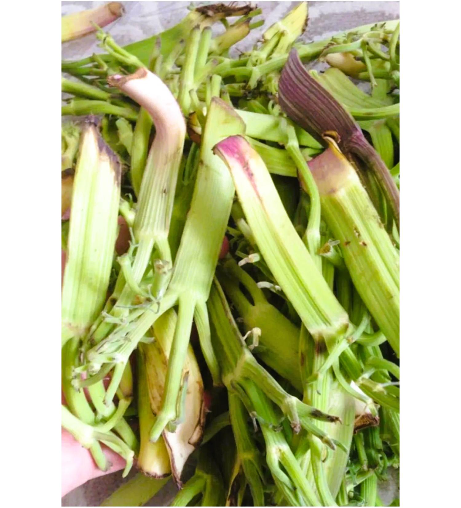 Erzurum pekgurme Erzurum pek Gurme Trigger Chasir Flat Chasir Wide Chasir 5 KG PKG 4767 - Buy Online on GoSupps.com