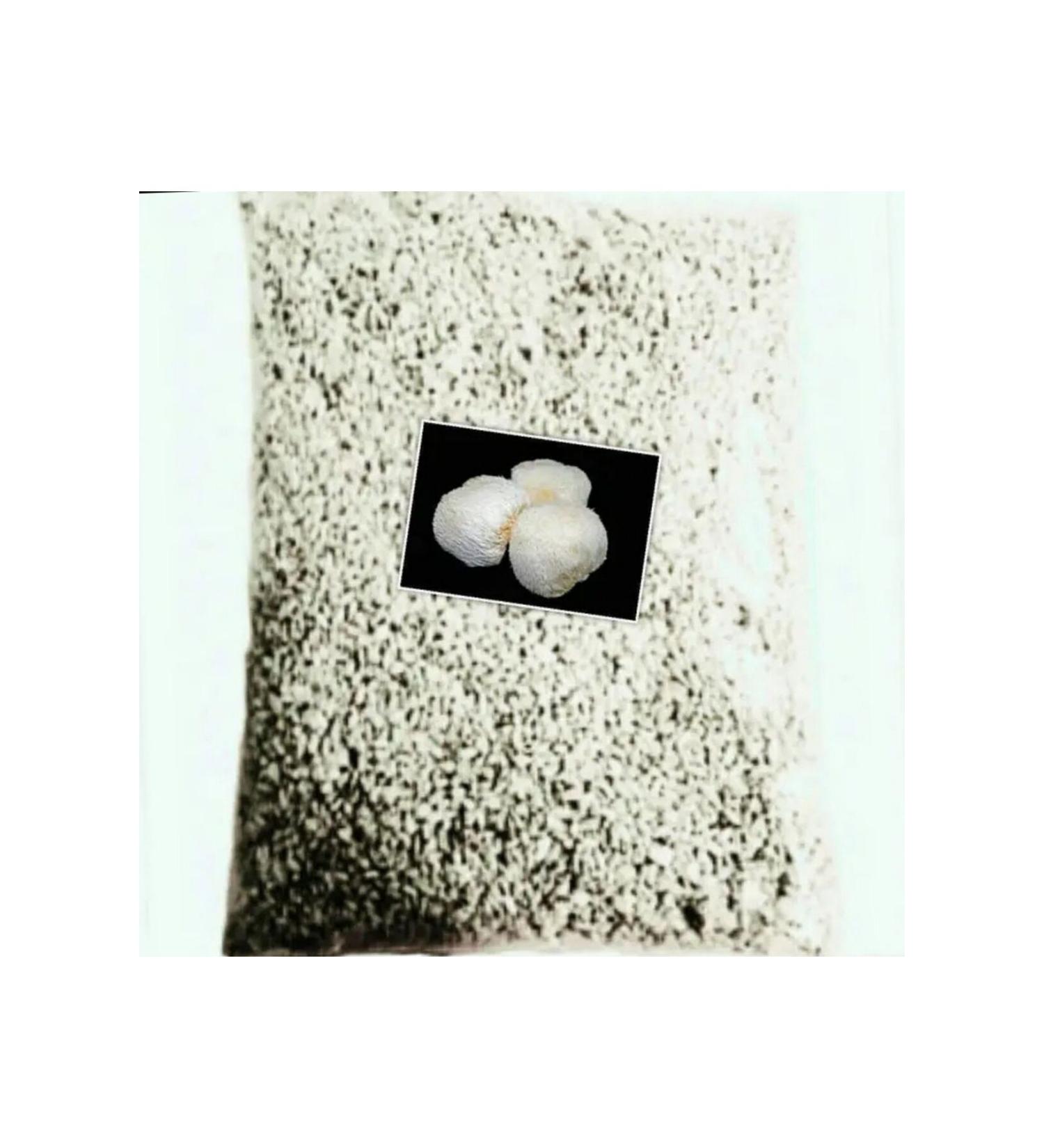 Klas Lion's mane mushroom seed 1 kg