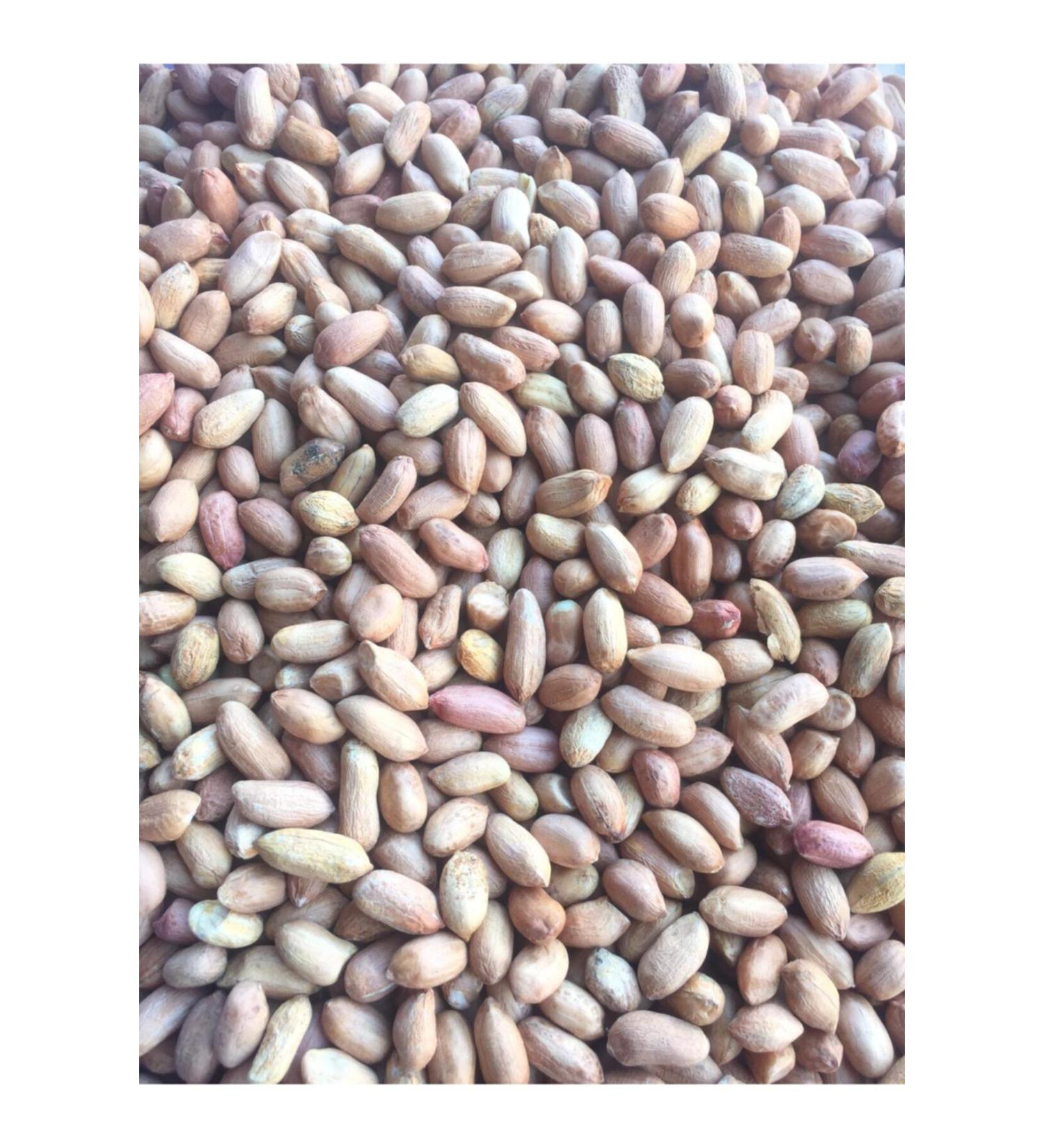 CHEMIST PISTACHIO AND NUTS Raw (not roasted) Medium Sized Peanut 4000gr