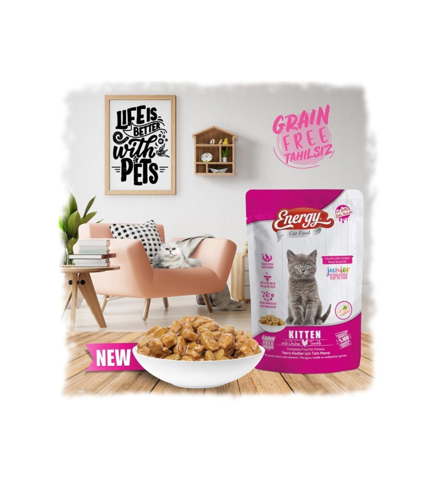 Energy Chicken Meat Kitten Wet Cat Food 85 gr X 24 Pieces