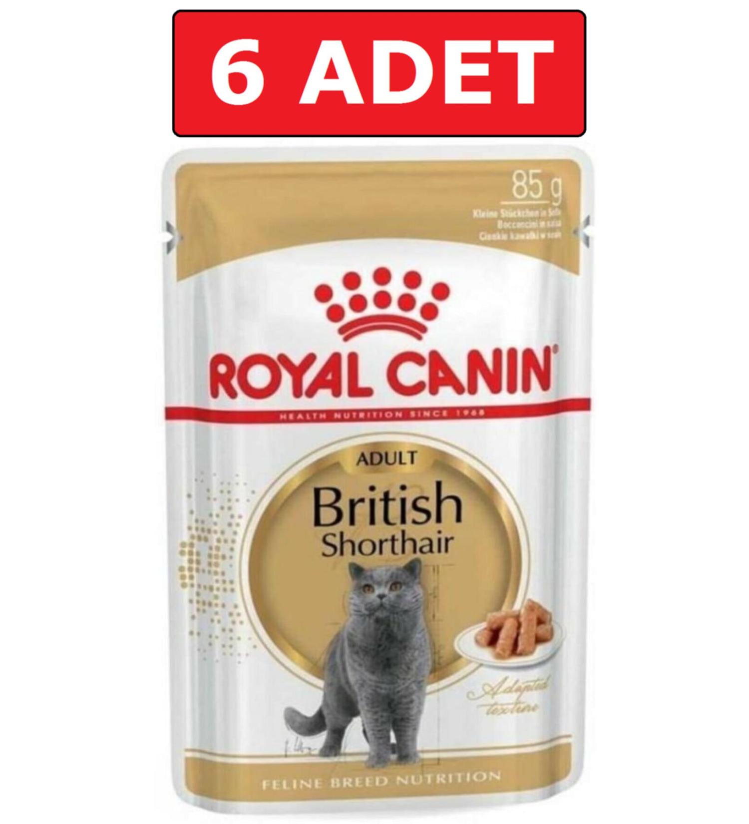 Royal Canin Royal Canin British Shorthair Cat Canned Food Pouch 85 Gr 6 Pieces Wet Food