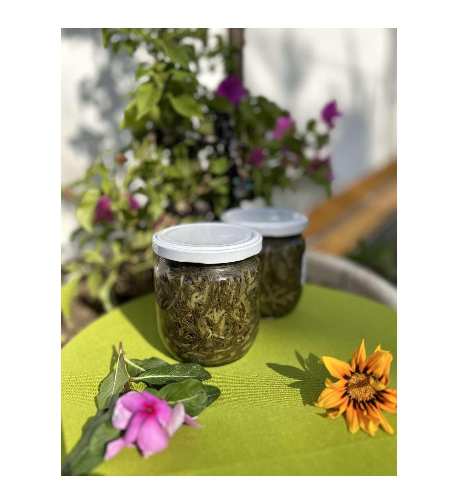 Aydin Artichoke Village Products 425 cc Canned Sea Beans