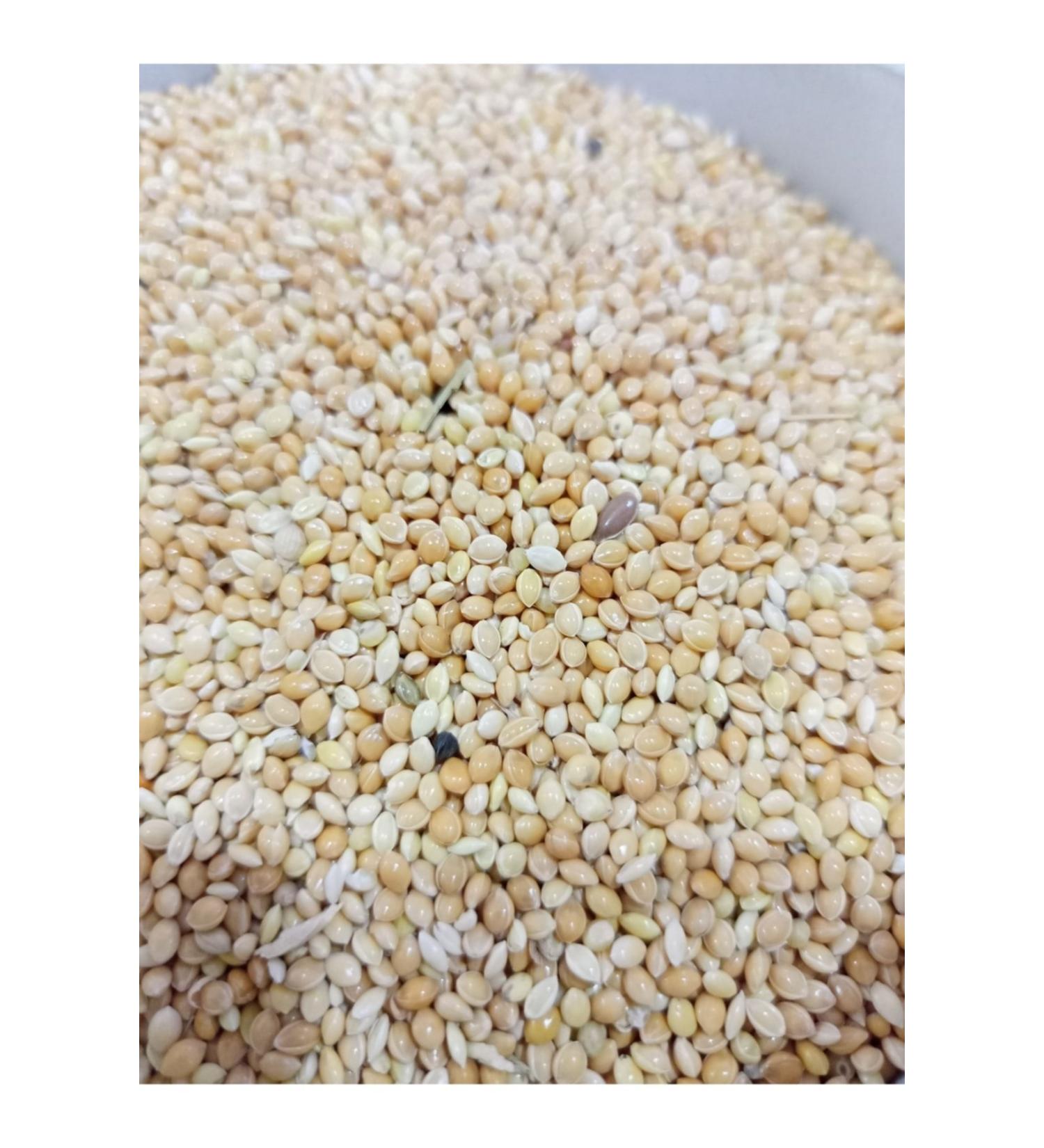 zdemir Petshop Yellow White Mixed Budgie Food 10 Kg