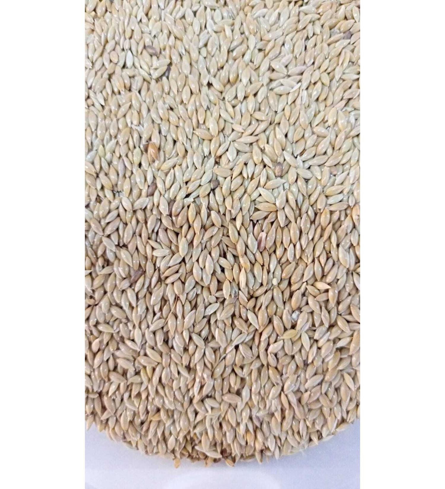 zdemir Petshop Aspur Canary Budgie Food 5 Kg