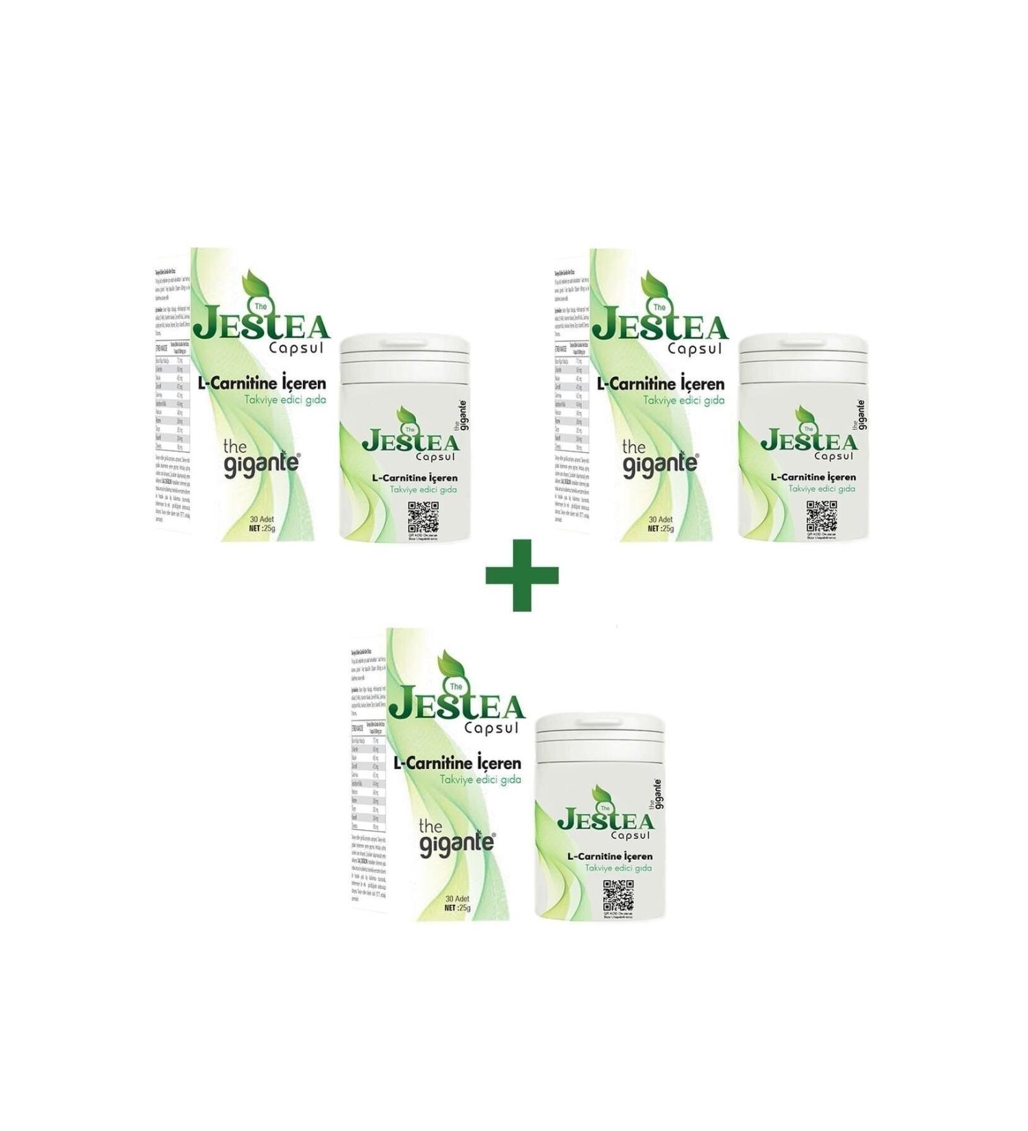 The Gigante Jestea 3 Months (90's) Usage Eco Package