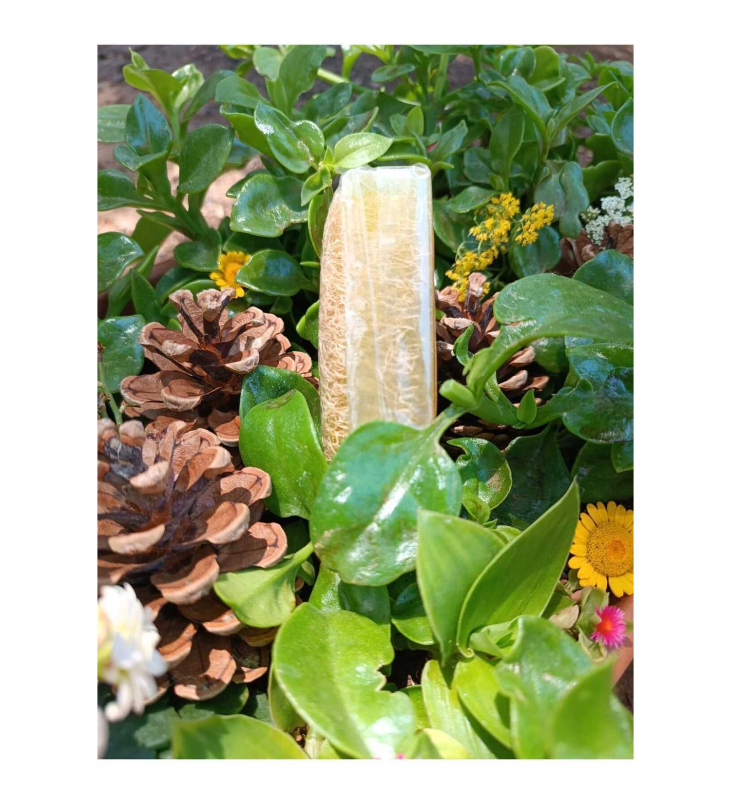 NATURAL LIFE CONCEPT Natural Life Concept 2 Liters of Aloe Vera Fiber Soap