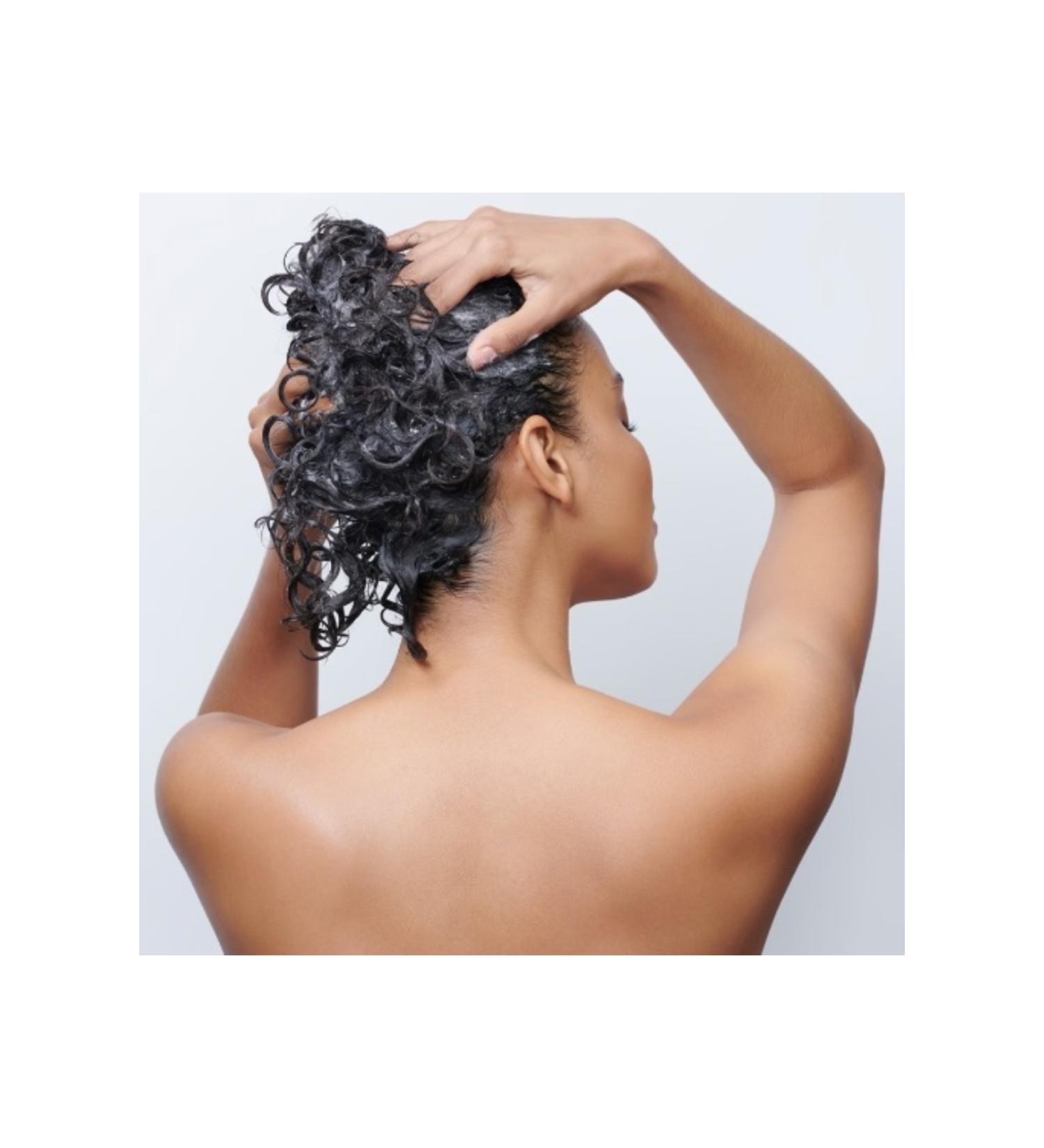 Moroccanoil Antioxidant Rich Moisturizing Conditioner Hydration (Parabenfree)8.5floz 26ECBEAUTYDIFFERENCE