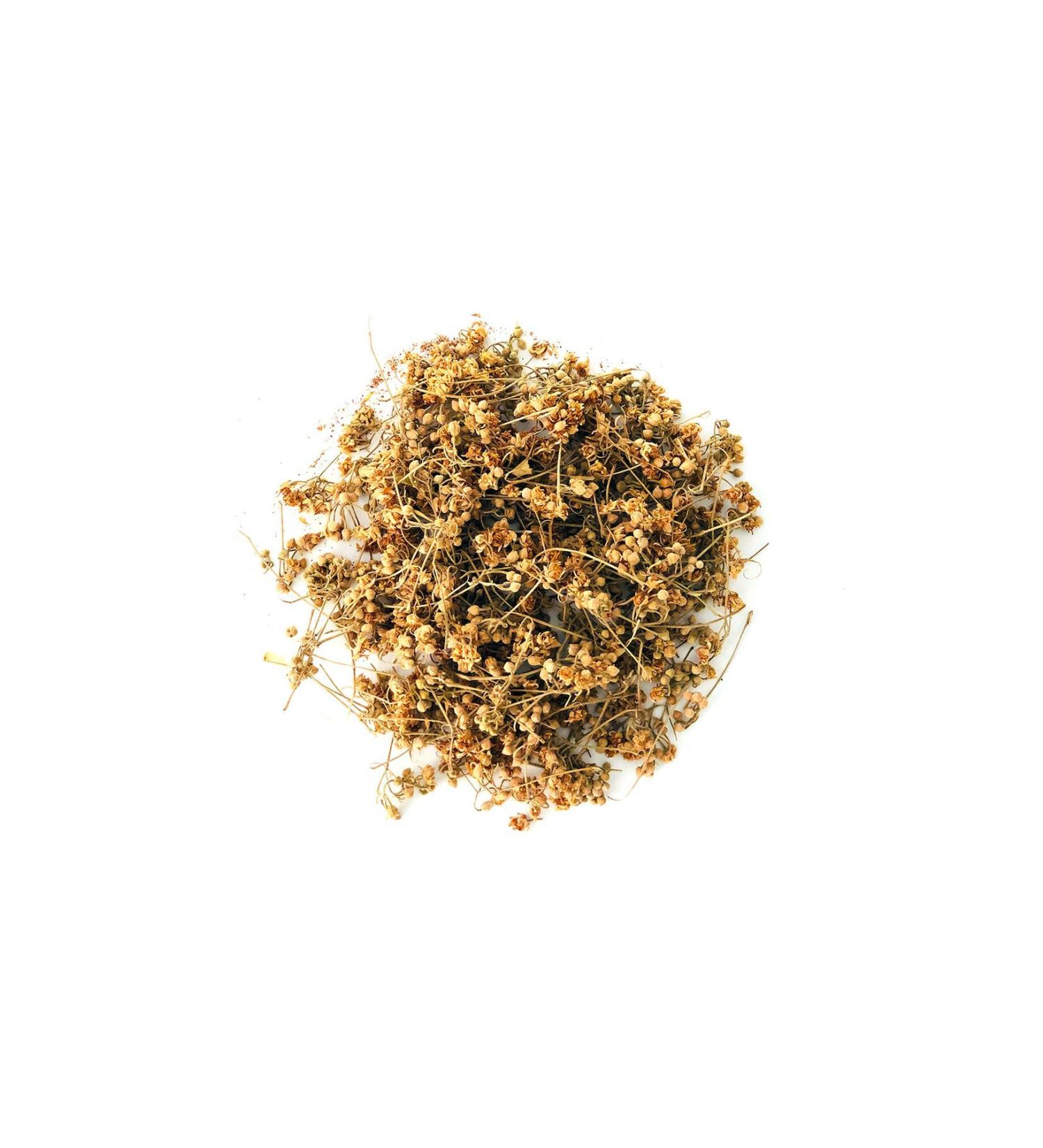 MEVLANA BAZAAR Mevlana Linden Tea 1 KG