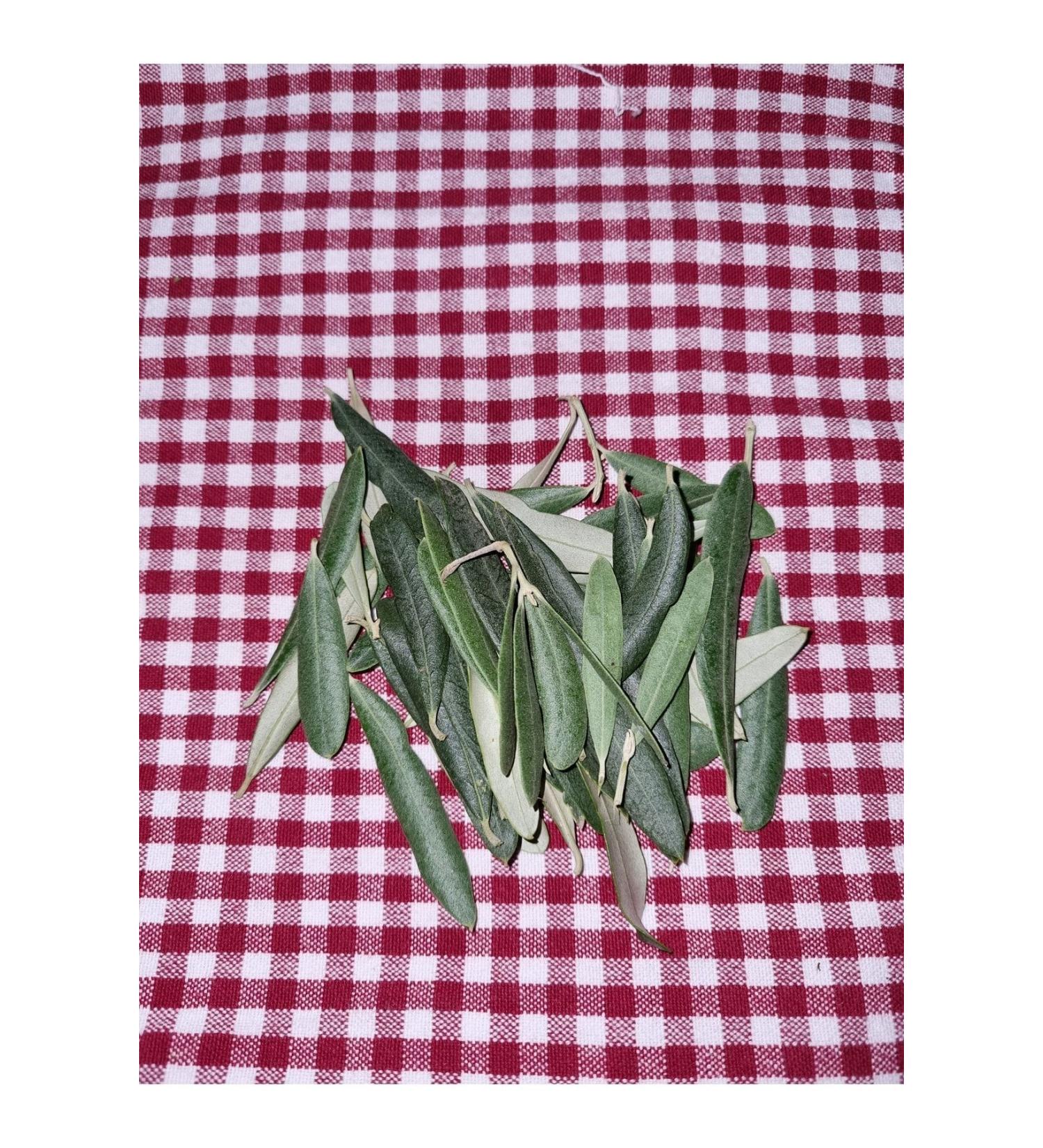Jupitersign.store Olive Leaf 100gr