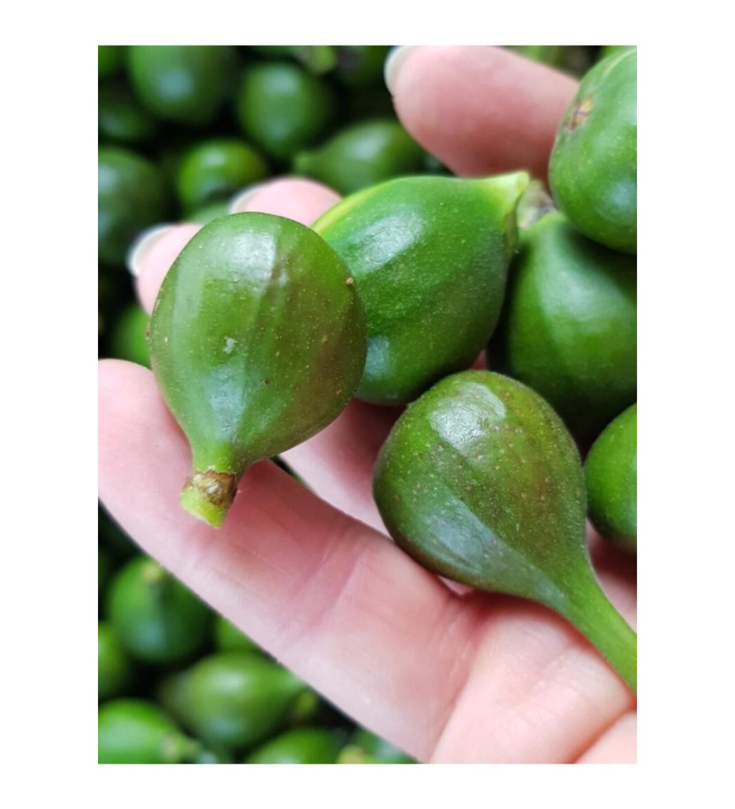 L tfi Jams Fig Jam 0.9 Kg