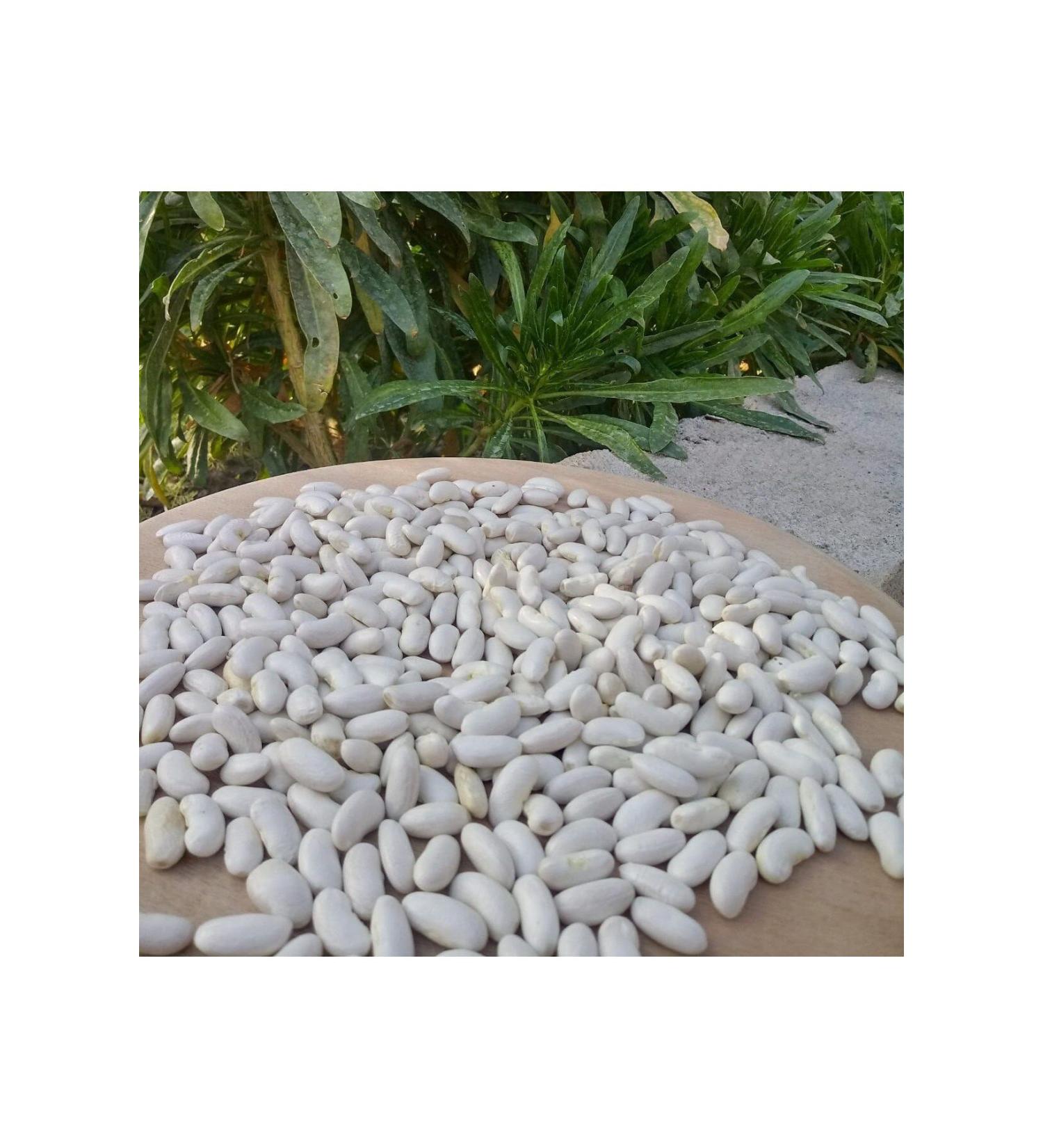 Arbel KONYA BEAN LOCAL PRODUCTION 3000 Gr
