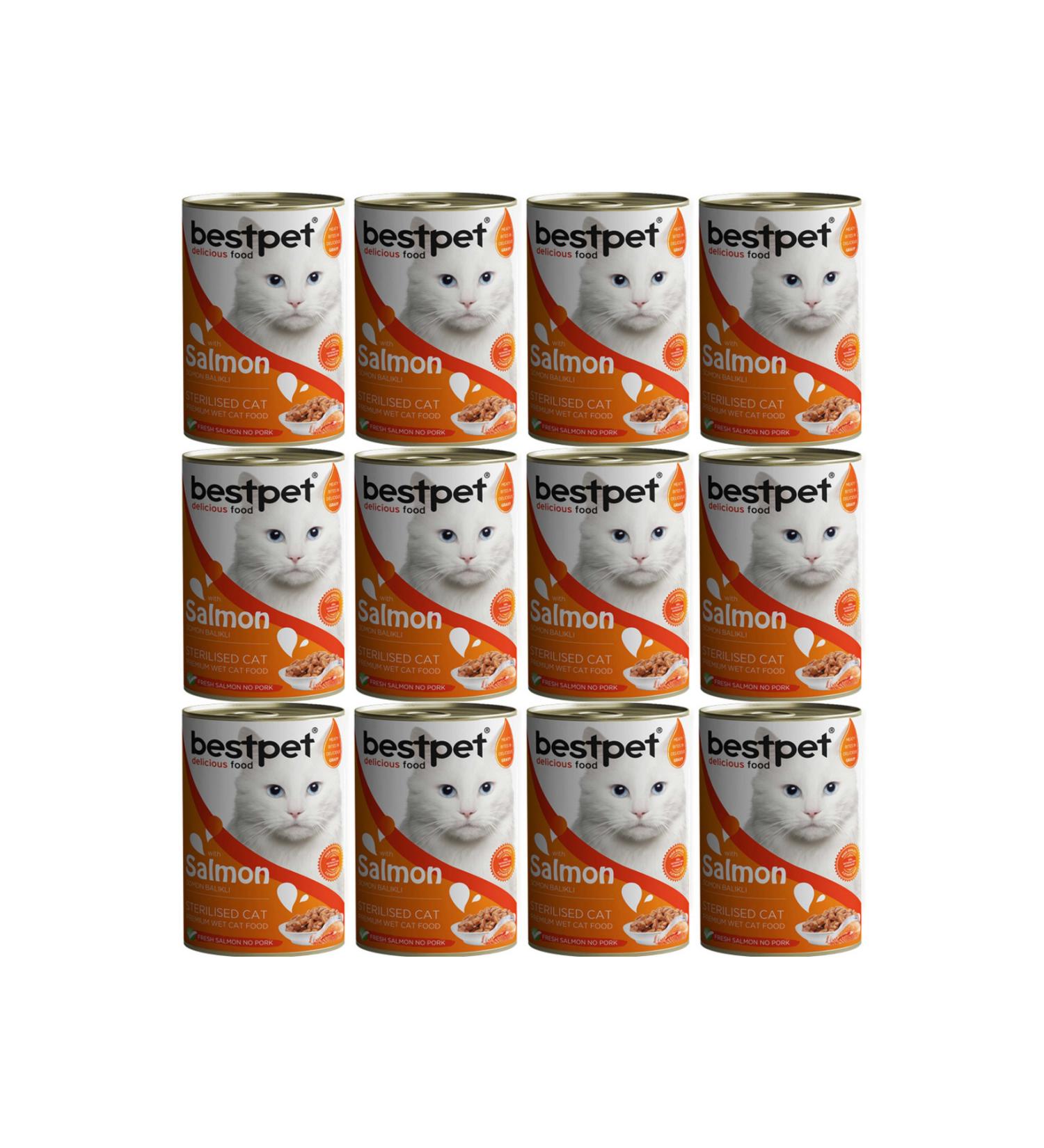 Bestpet Canned Salmon Cat Food 400gr - 12 Pieces