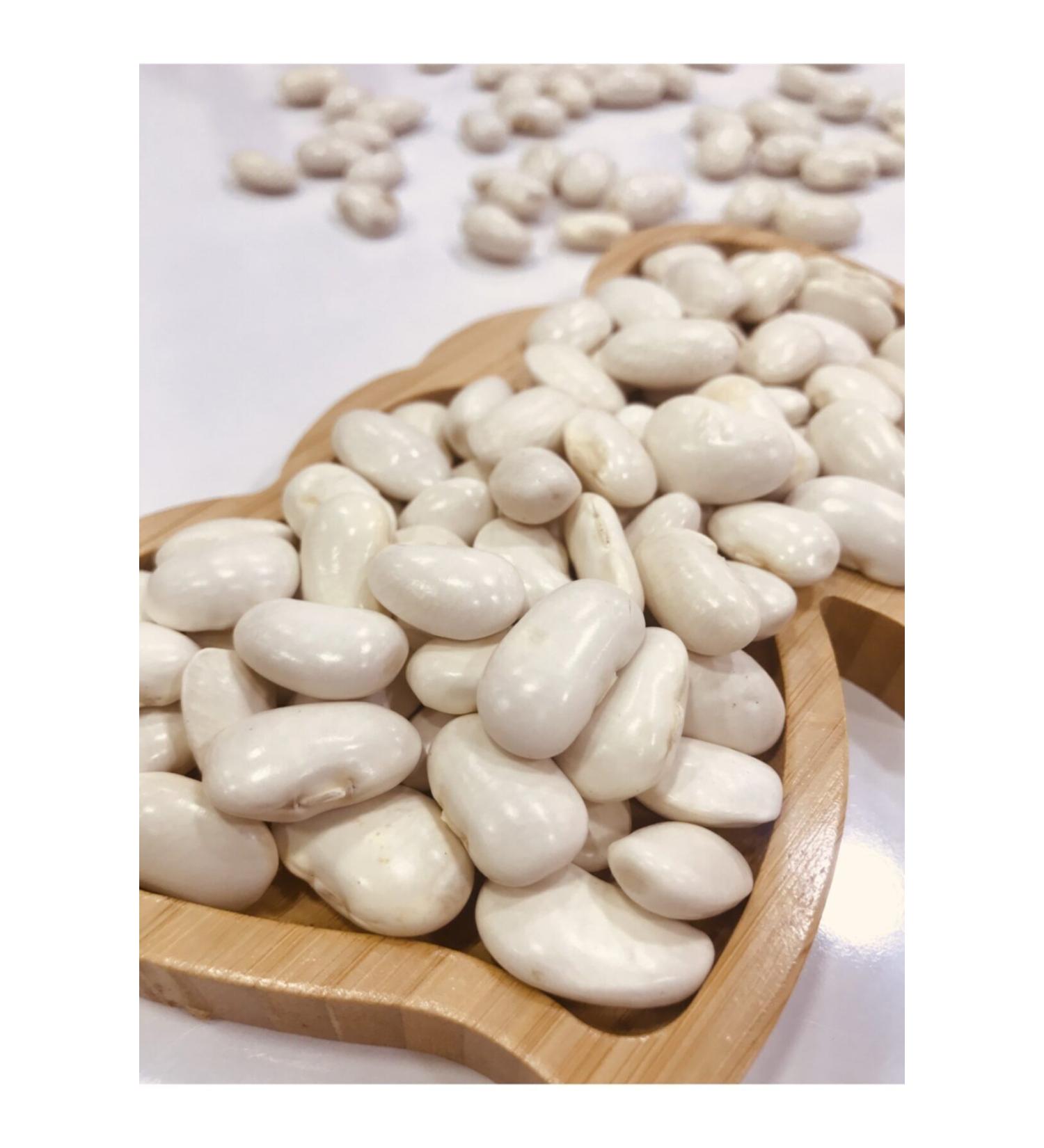 Cbm SP R BOMBAY LARGE BEAN 25 KILOS
