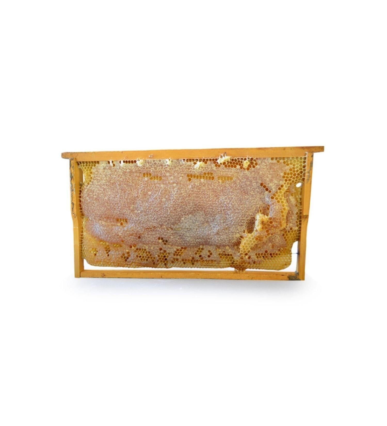 OrganikAVM Elaz Natural Comb Honey 3000 Gr - 3500 Gr