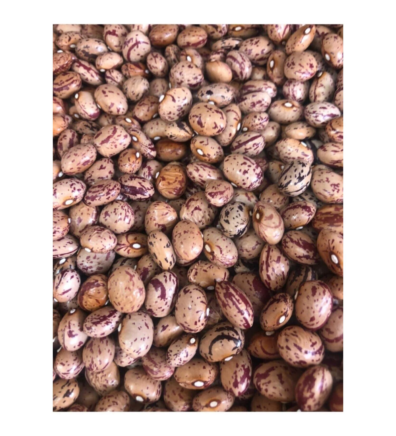 Organic Village Kidney Beans 1 Kilo