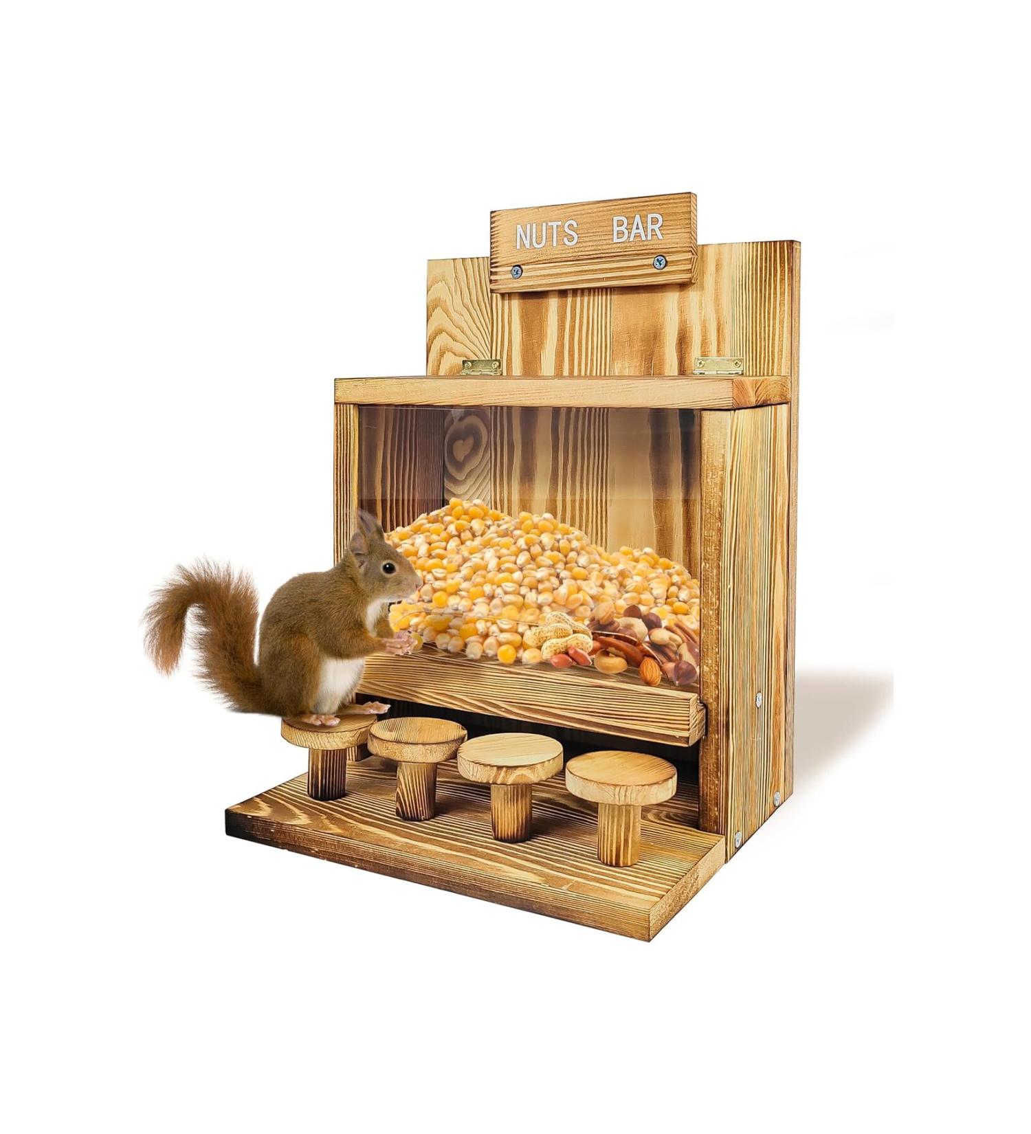 AnkaShop Squirrel Food Feeding Station Pine Tree Squirrel Food House Squirrel Picnic Table Feeder Squirrel Bar Ta - Buy Online on GoSupps.com