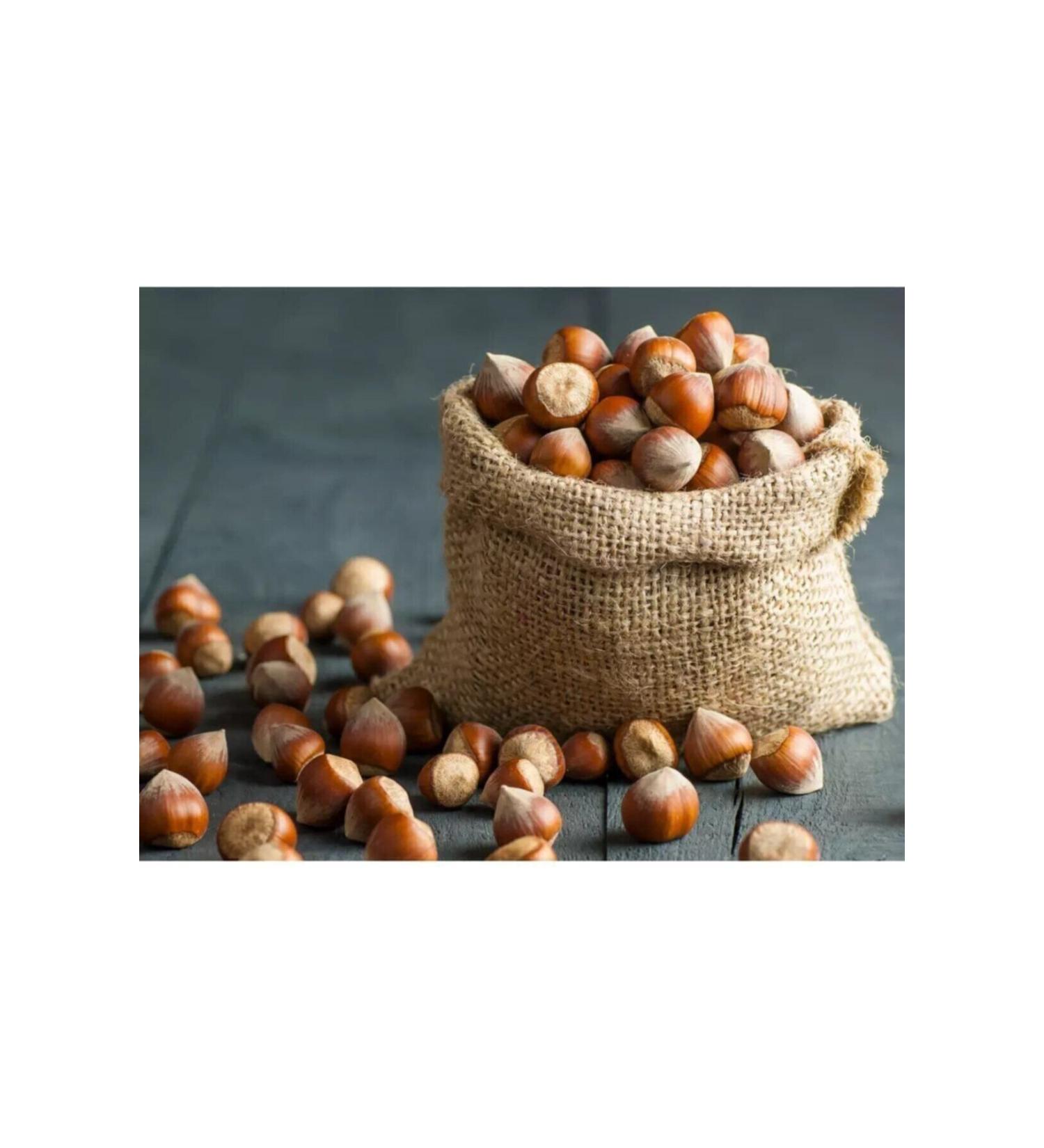 Hazelnut Giresun Shelled 1 Kg (2023 SEASON) - Buy Online on GoSupps.com