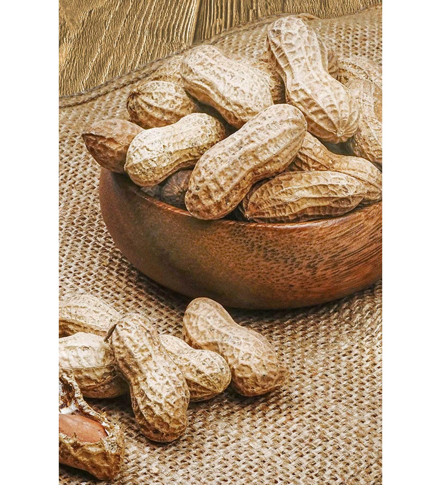 Organic Family Peanuts in Shell 500 gr