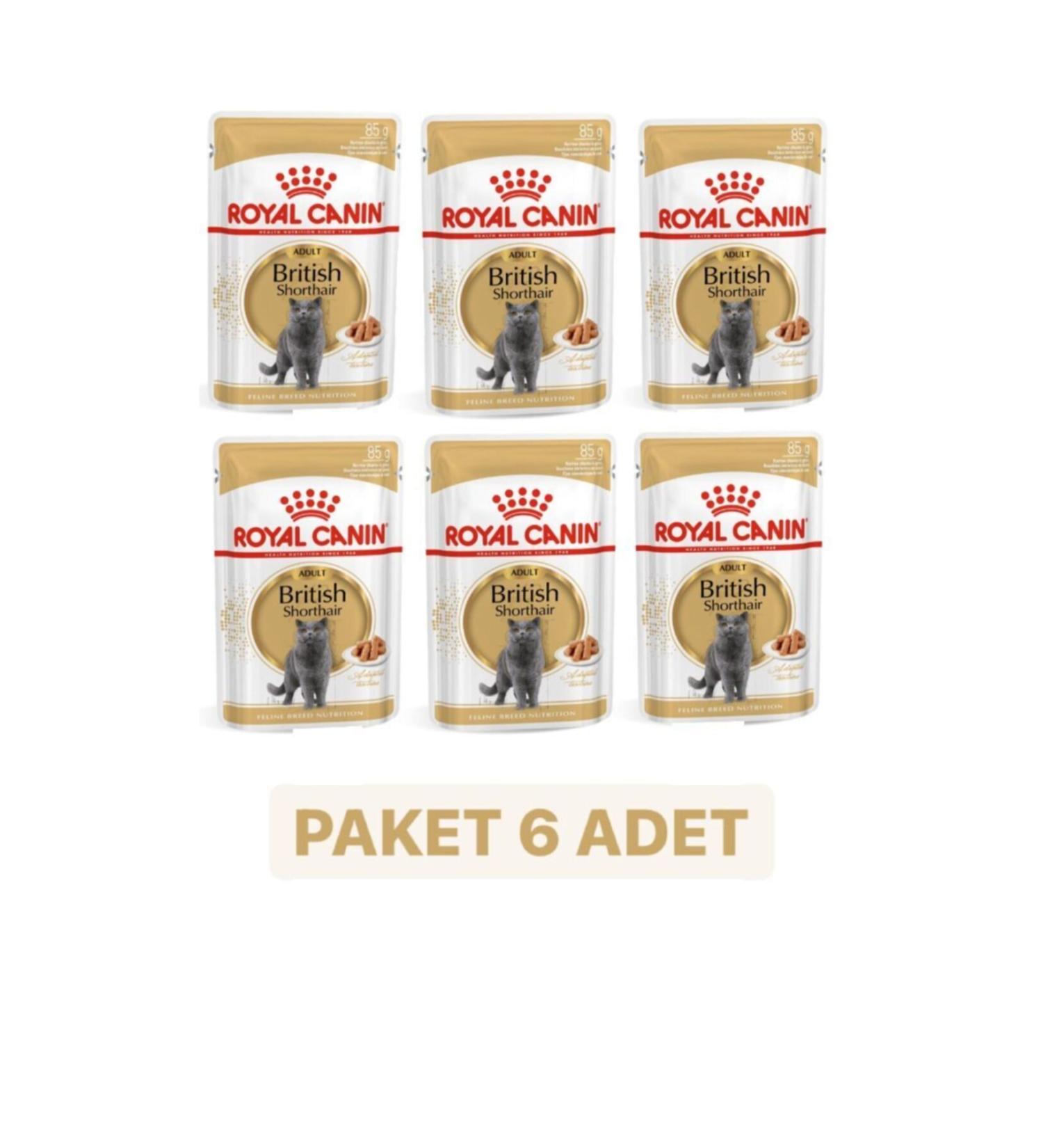 Royal Canin British Shorthair Adult Cat Food 85 Gr X 6 Pieces