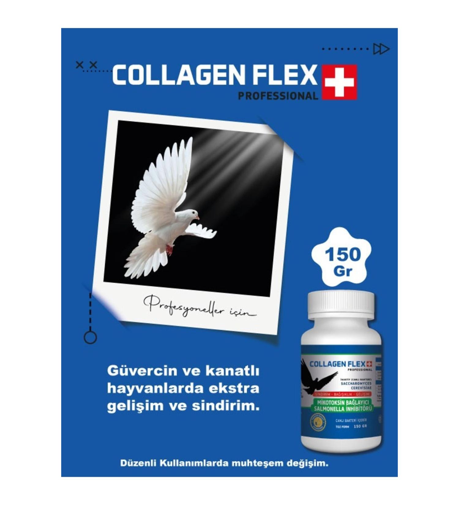 Collagenflex Professional Winged 150 gr Development Immunity and Digestion