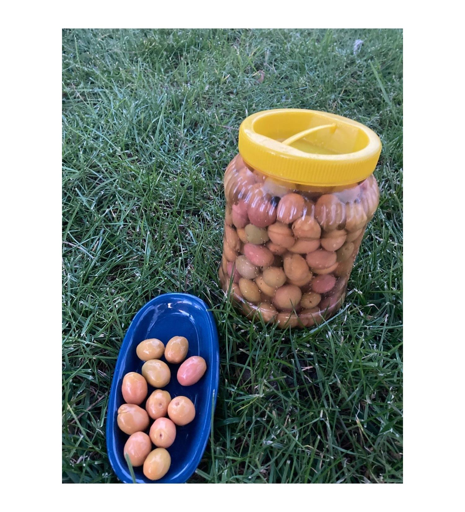 Melis Olive Industry Pink Edremit Scratched Olives 1kg