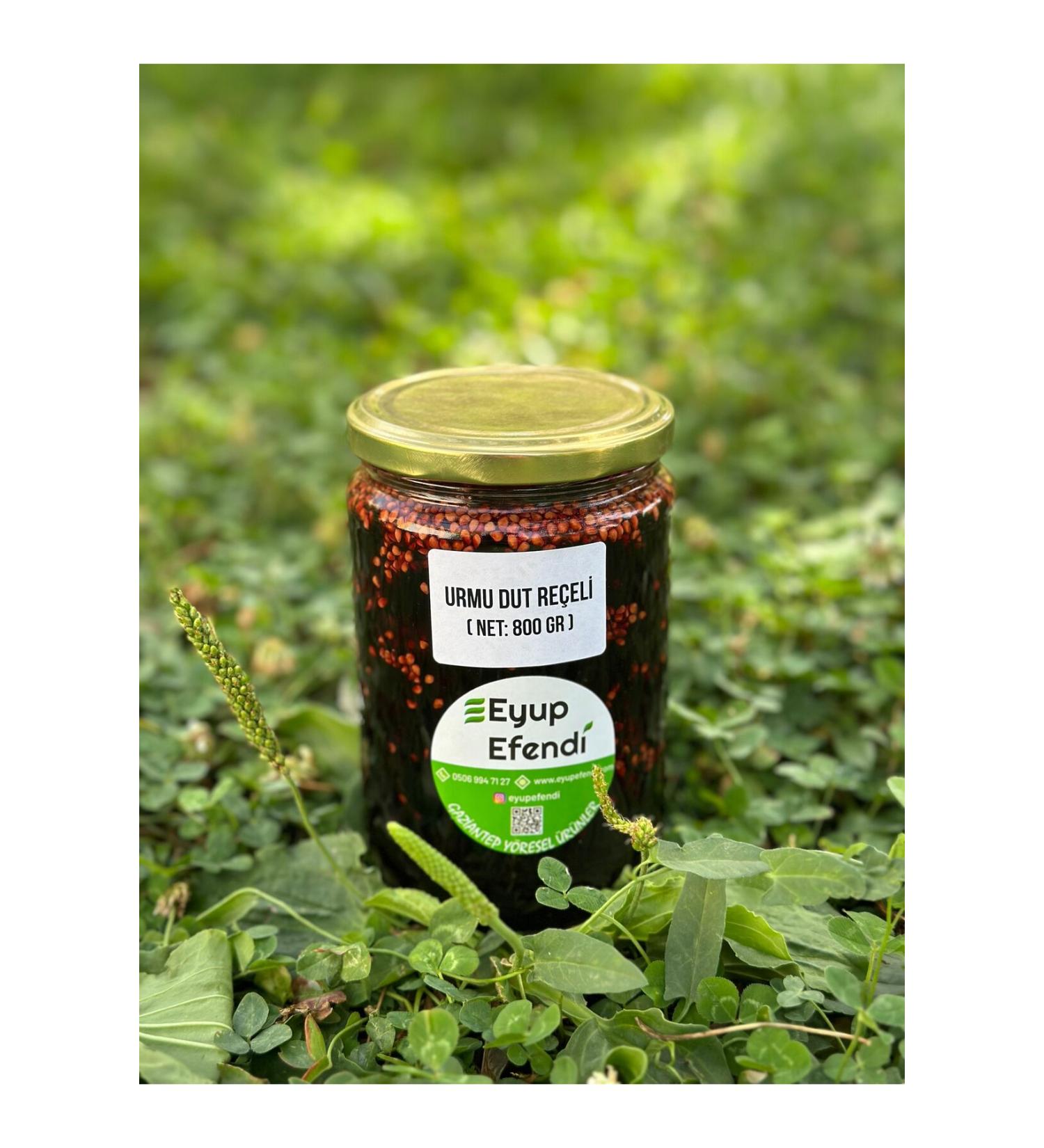 Eyup Efendi Urmu Mulberry Jam Organic Net 800 Gr - Buy Online on GoSupps.com