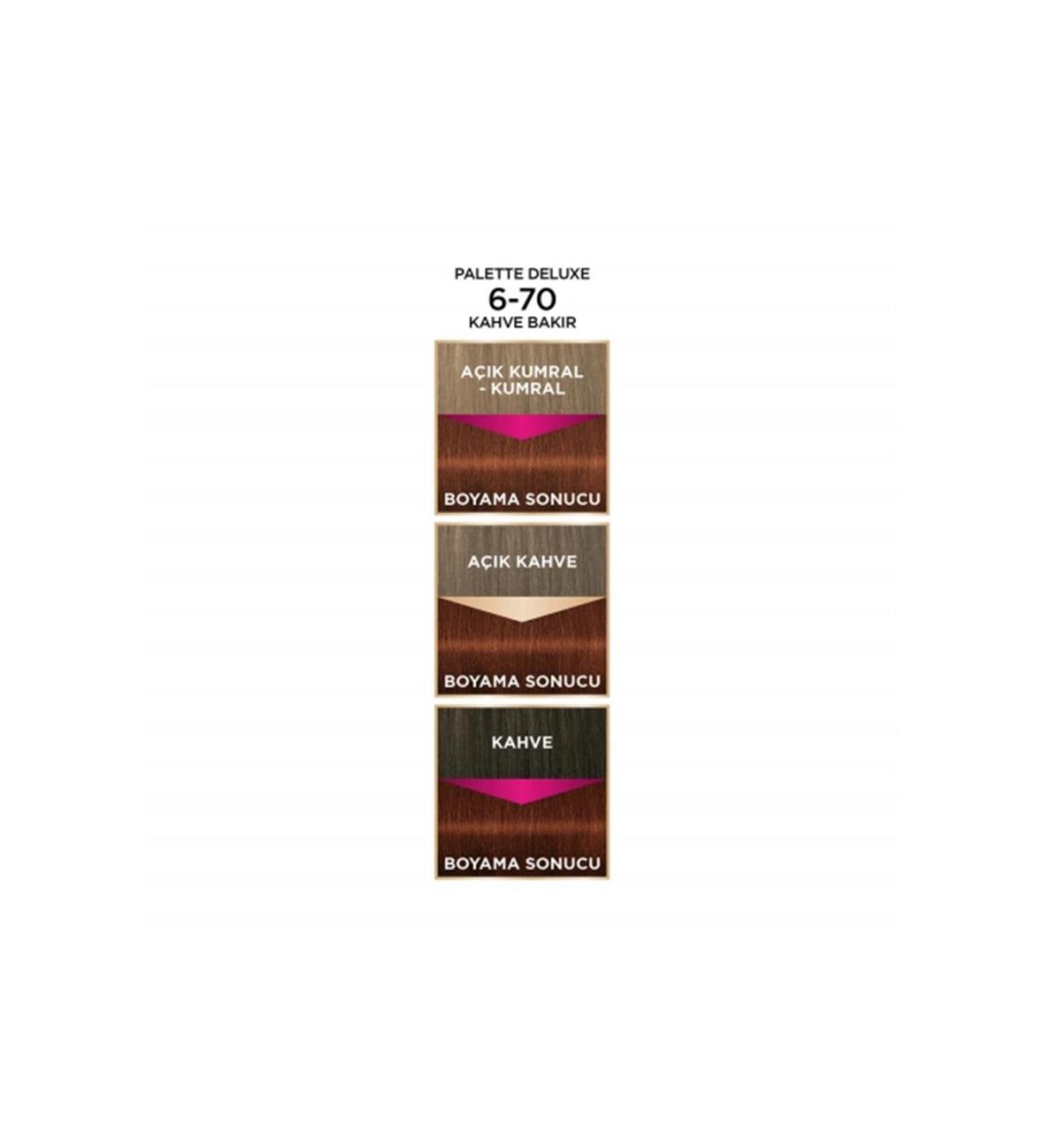 Palette Deluxe Oil Care Hair Dye 6.70 Brown Copper