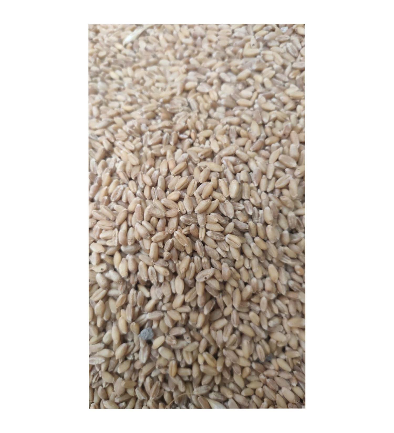 Beyoglu poppy Feed Wheat 5 Kg
