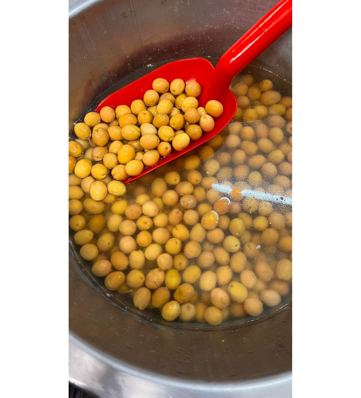 OLIVE CGN Edremit Scratched Olive 3XL 2 KG Pet