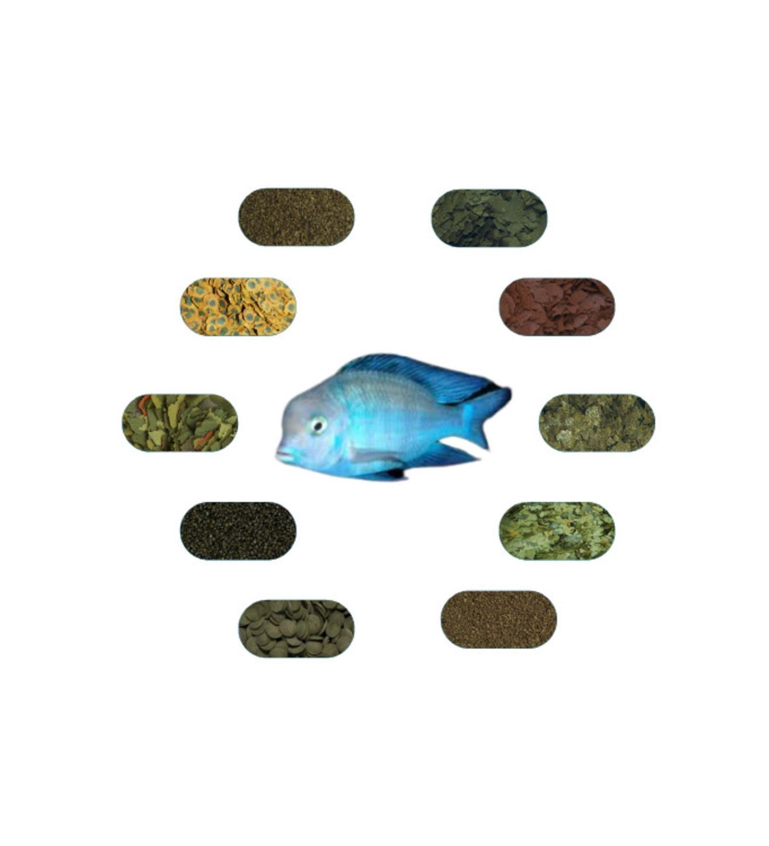 Dolphin Cichlid Special Fish Food Package 100 Gr/piece (6 TYPES)