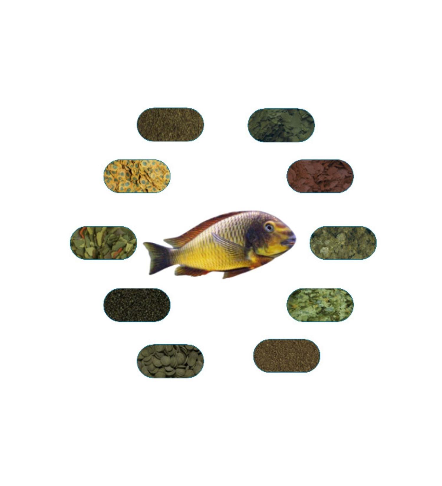 Tropheus Ilangi Yellow Special Fish Food Package 50 Gr/piece (7 TYPES)