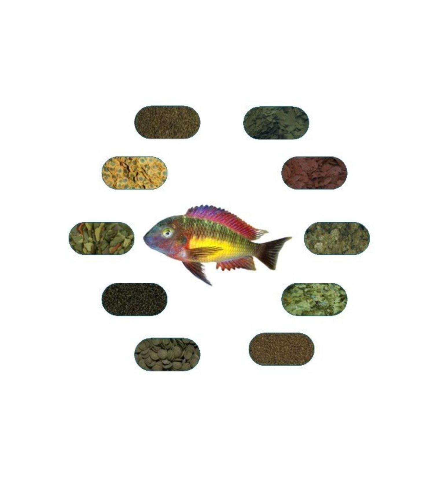 Tropheus Red Rainbow Special Fish Food Package 50 Gr/piece (7 TYPES)