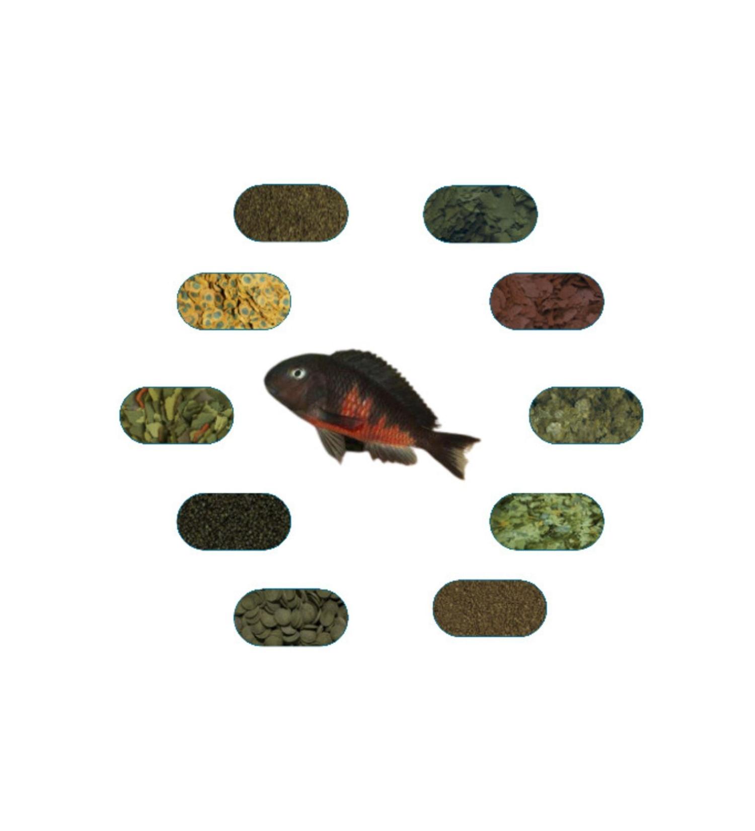 Tropheus Red Belly Special Fish Food Package 50 Gr/piece (7 TYPES)