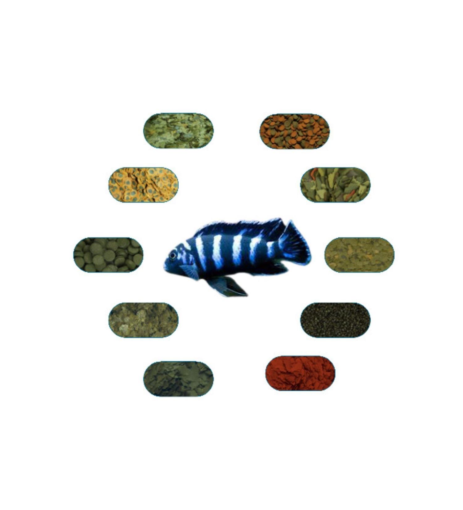 Demasoni Special Fish Food Package 100 Gr/piece (7 TYPES)