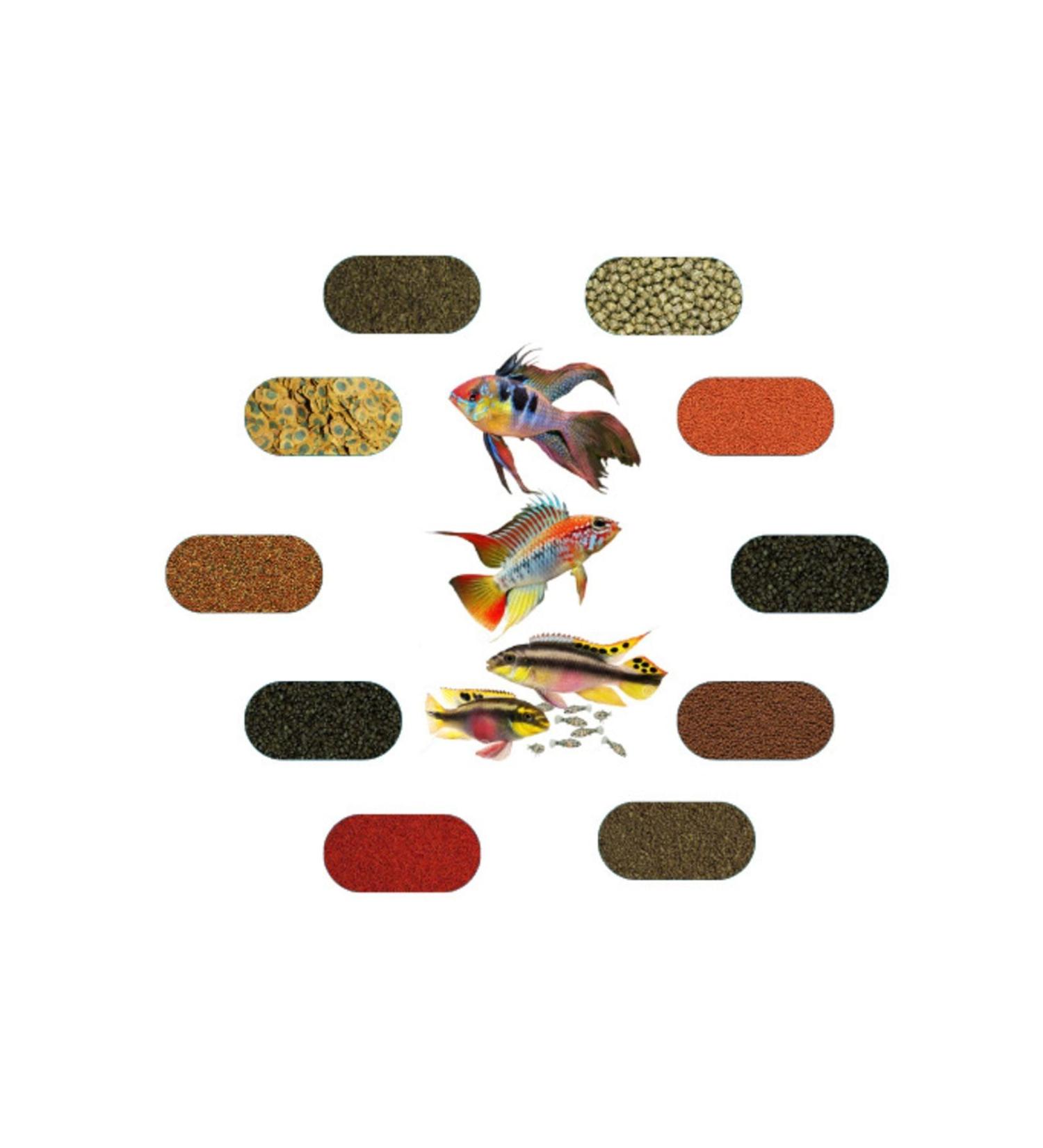 DWARF AMERICAN FOOD PACKAGE (100 GR - 6 TYPES)