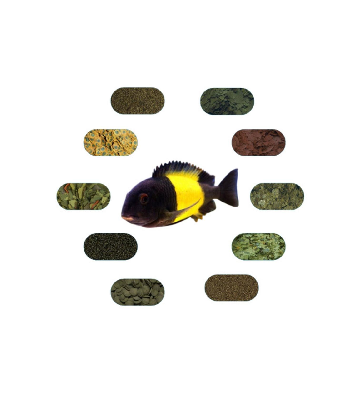 Tropheus Sp. Ikola Special Fish Food Package 50 Gr/piece (7 TYPES)