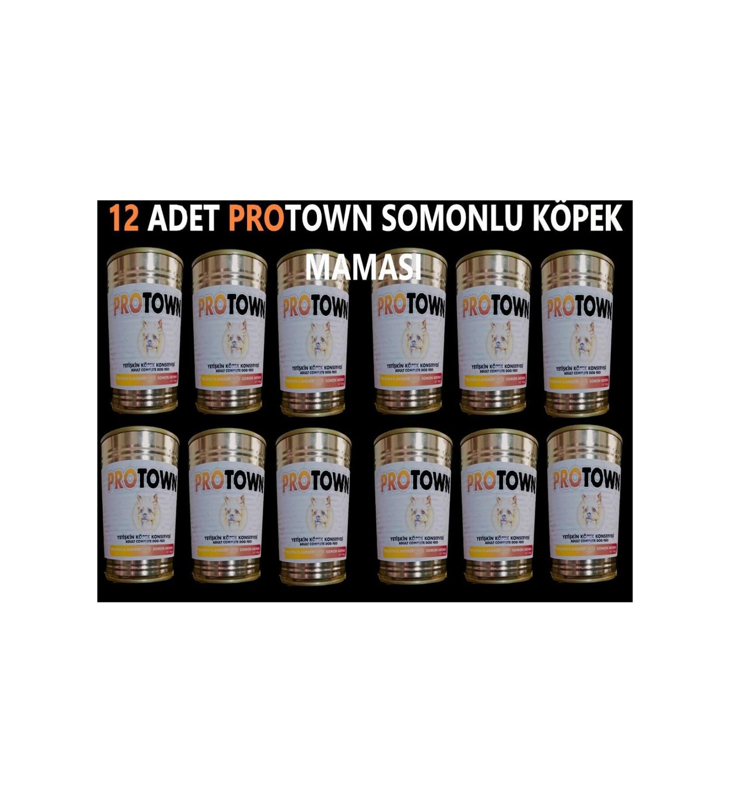 PRO TOWN 12 Pieces 415 gr Protown SALMON Canned Dog Food