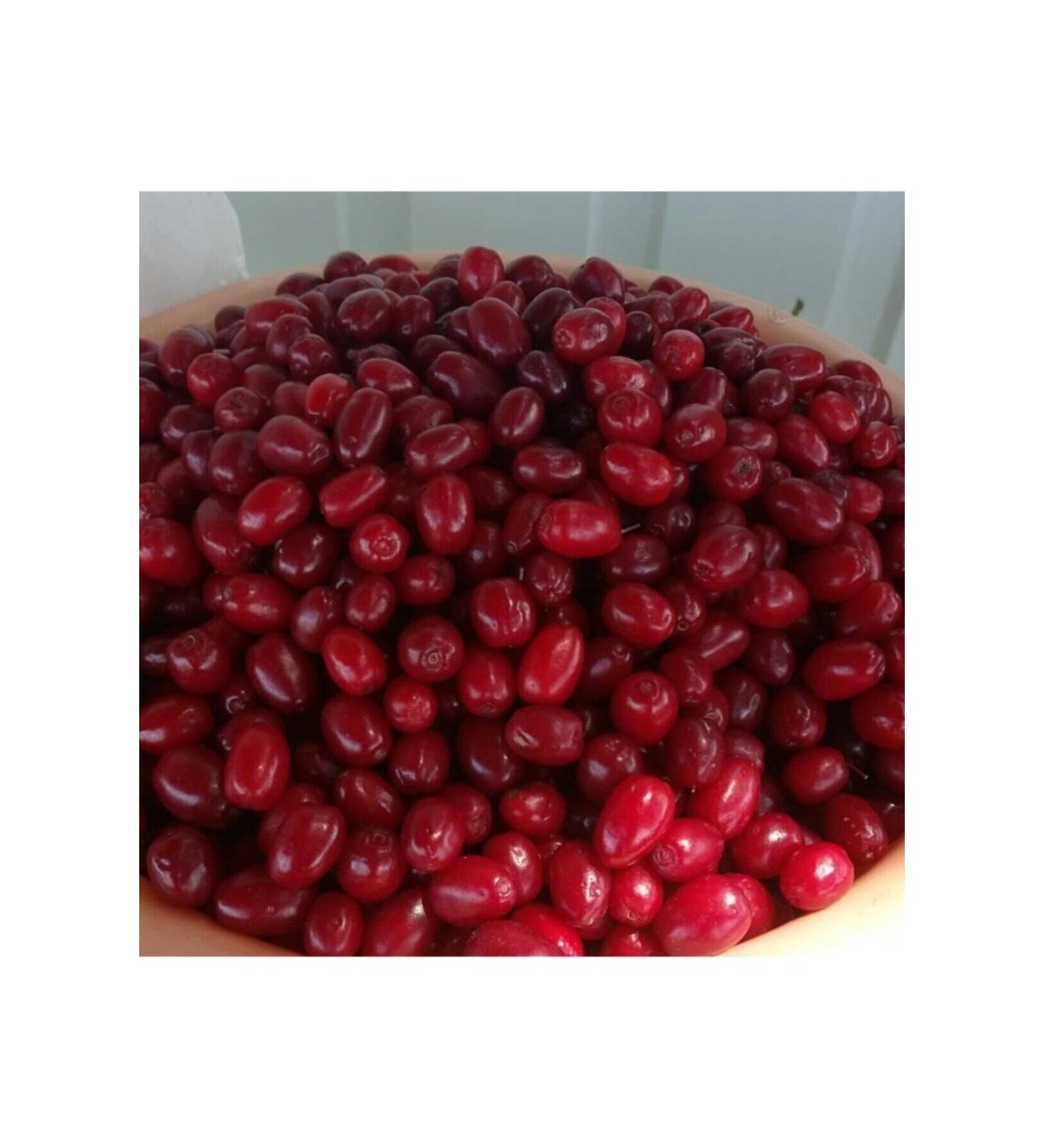 ifa Dried Cranberry Homemade 1kg - Buy Online on GoSupps.com