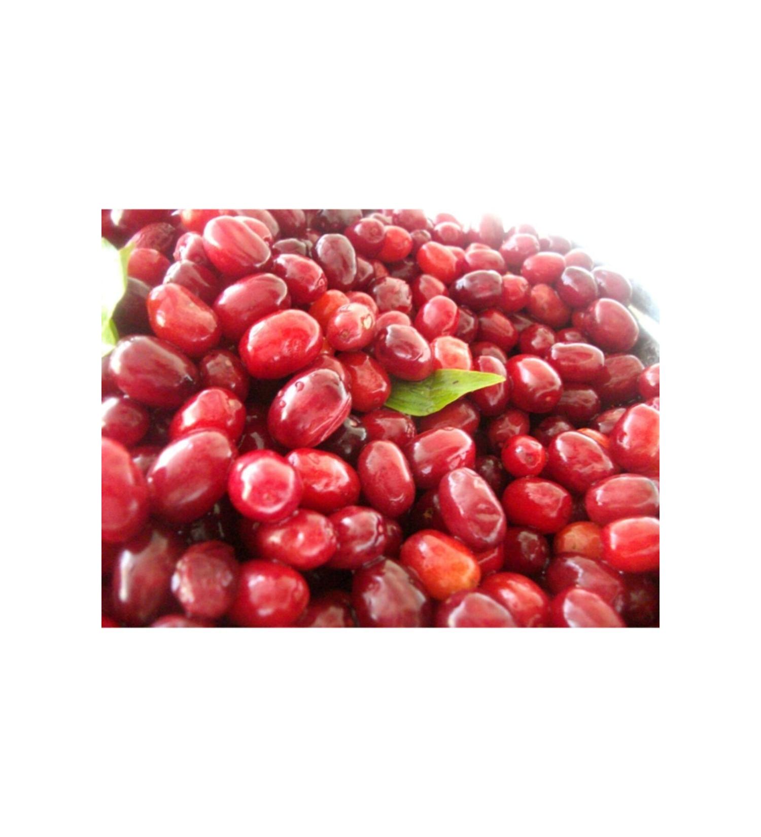Sun-Dried Cranberry from Anatolia (1000 gr)